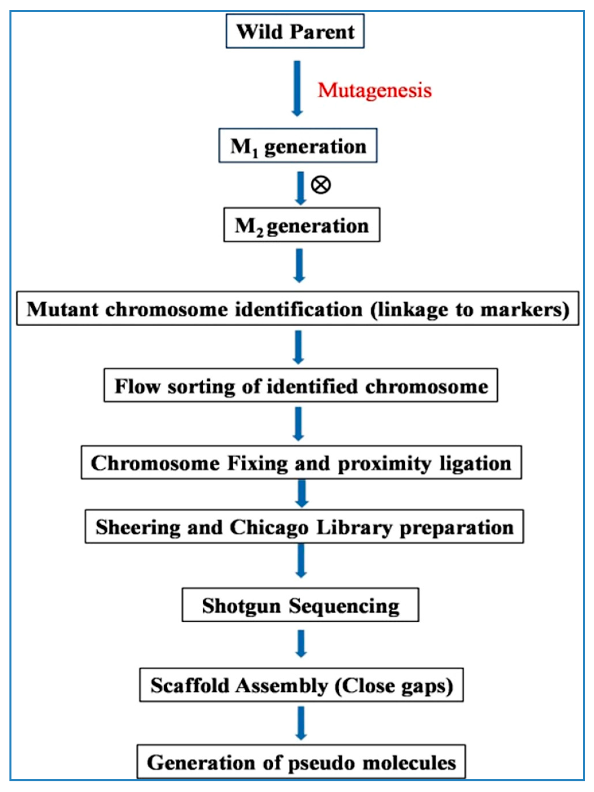 Plants 09 01355 g008