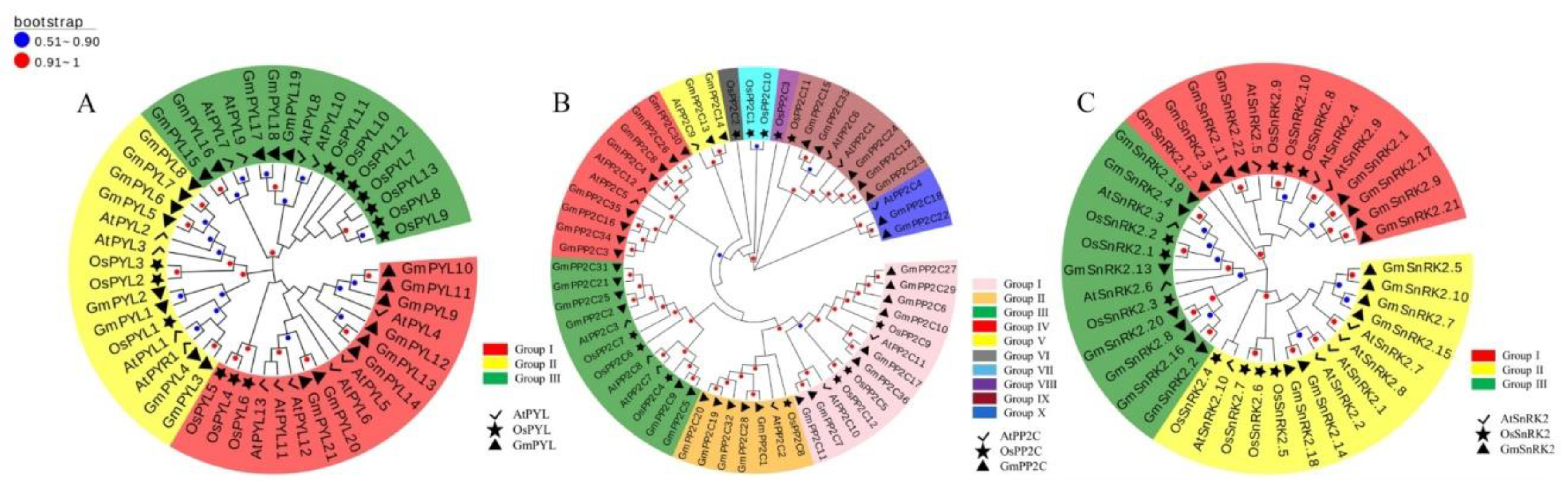 Plants 09 01356 g001