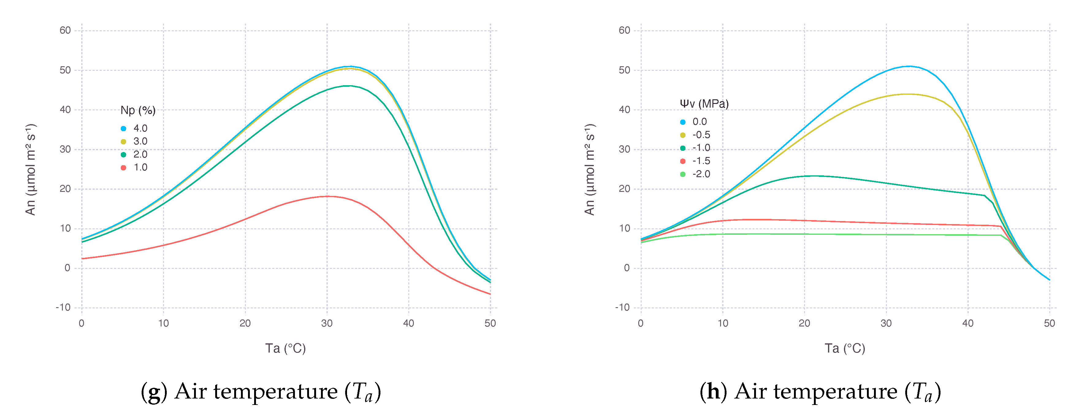 Plants Free Full Text Coupled Gas Exchange Model For C4 Leaves Comparing Stomatal Conductance Models Html