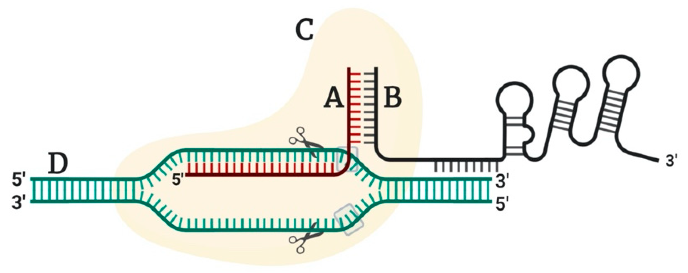Plants 09 01360 g001 Plants 09 01360 g001