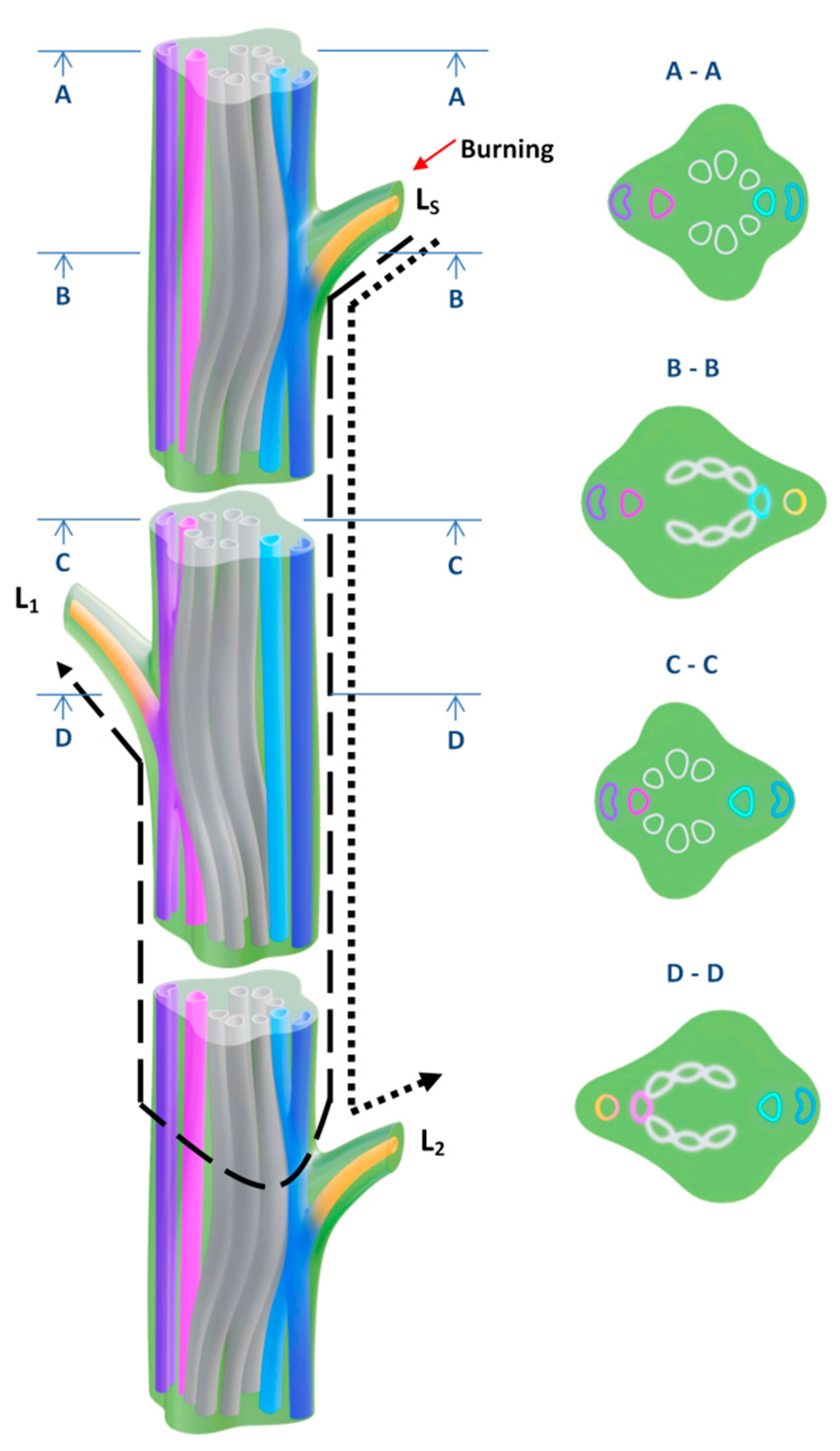 Plants 09 01364 g006