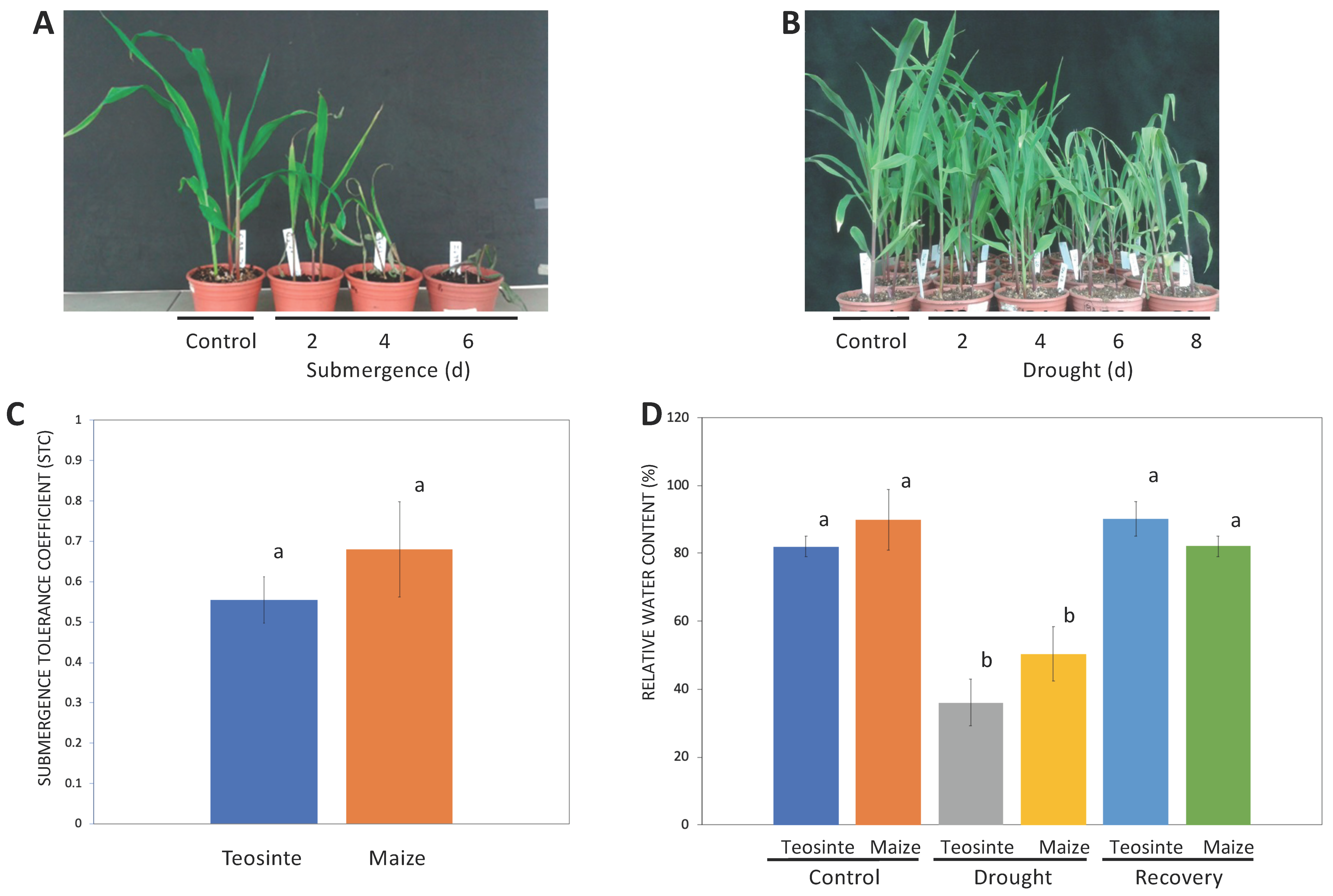 Plants 09 01367 g001