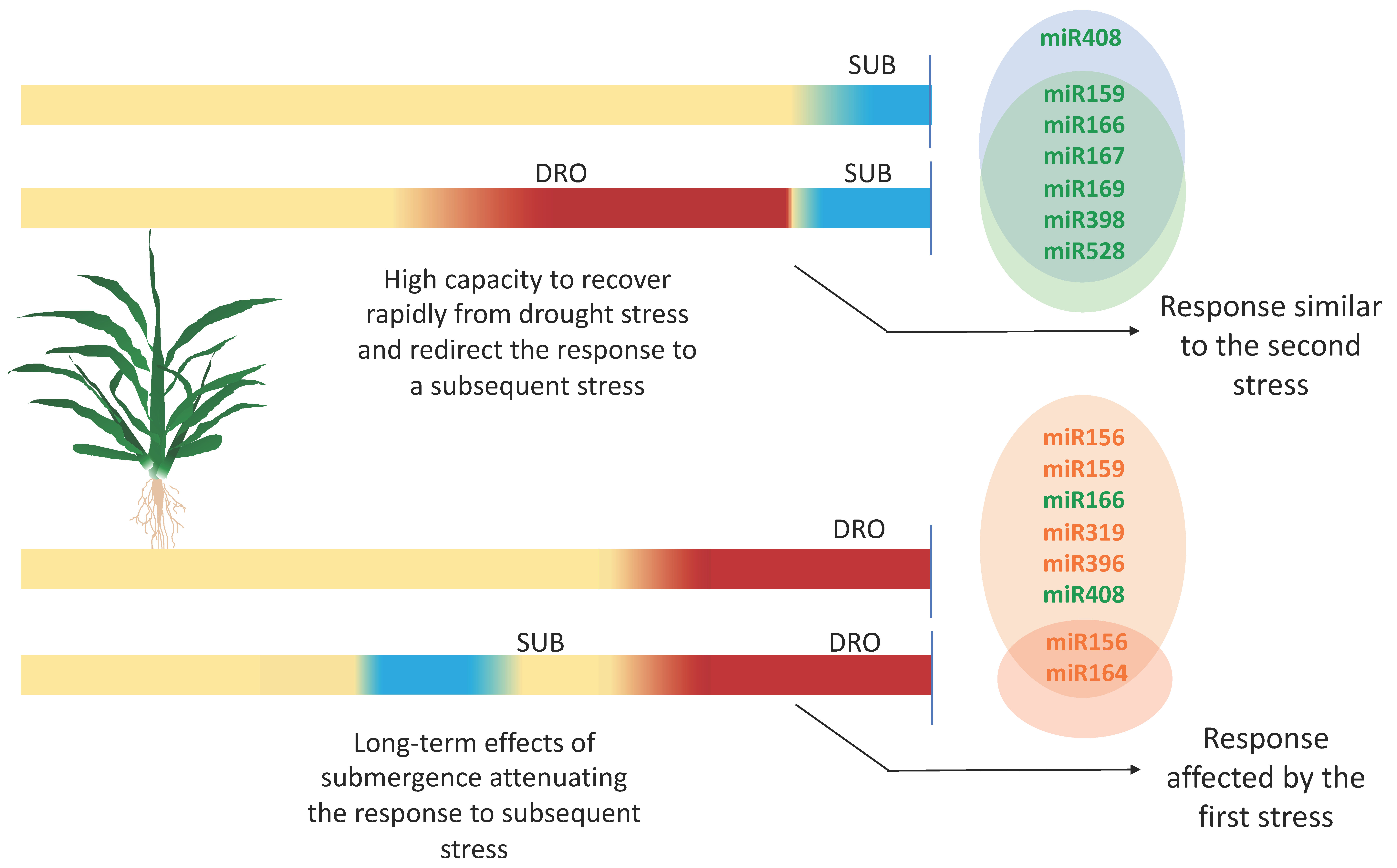 Plants 09 01367 g005