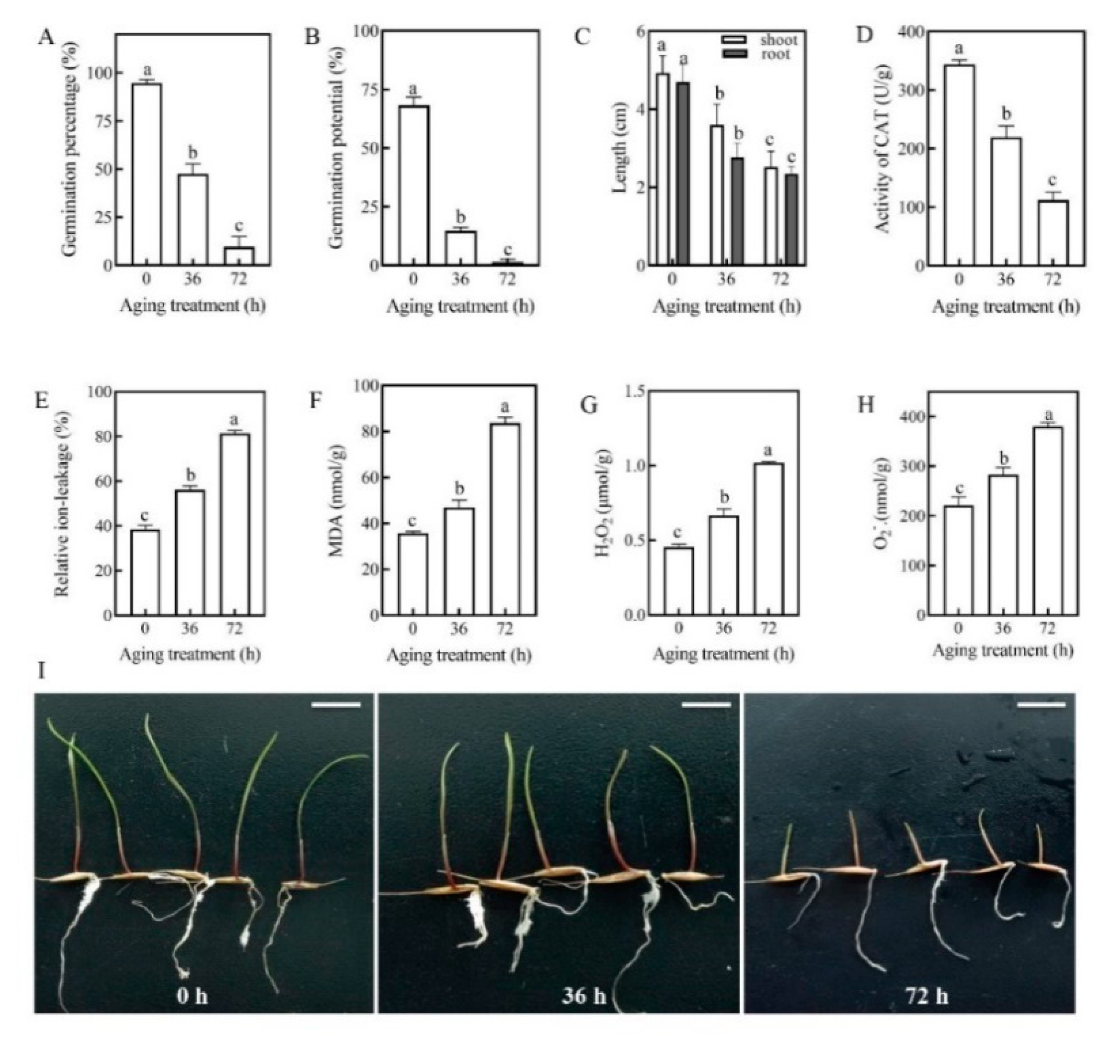Plants 09 01370 g001
