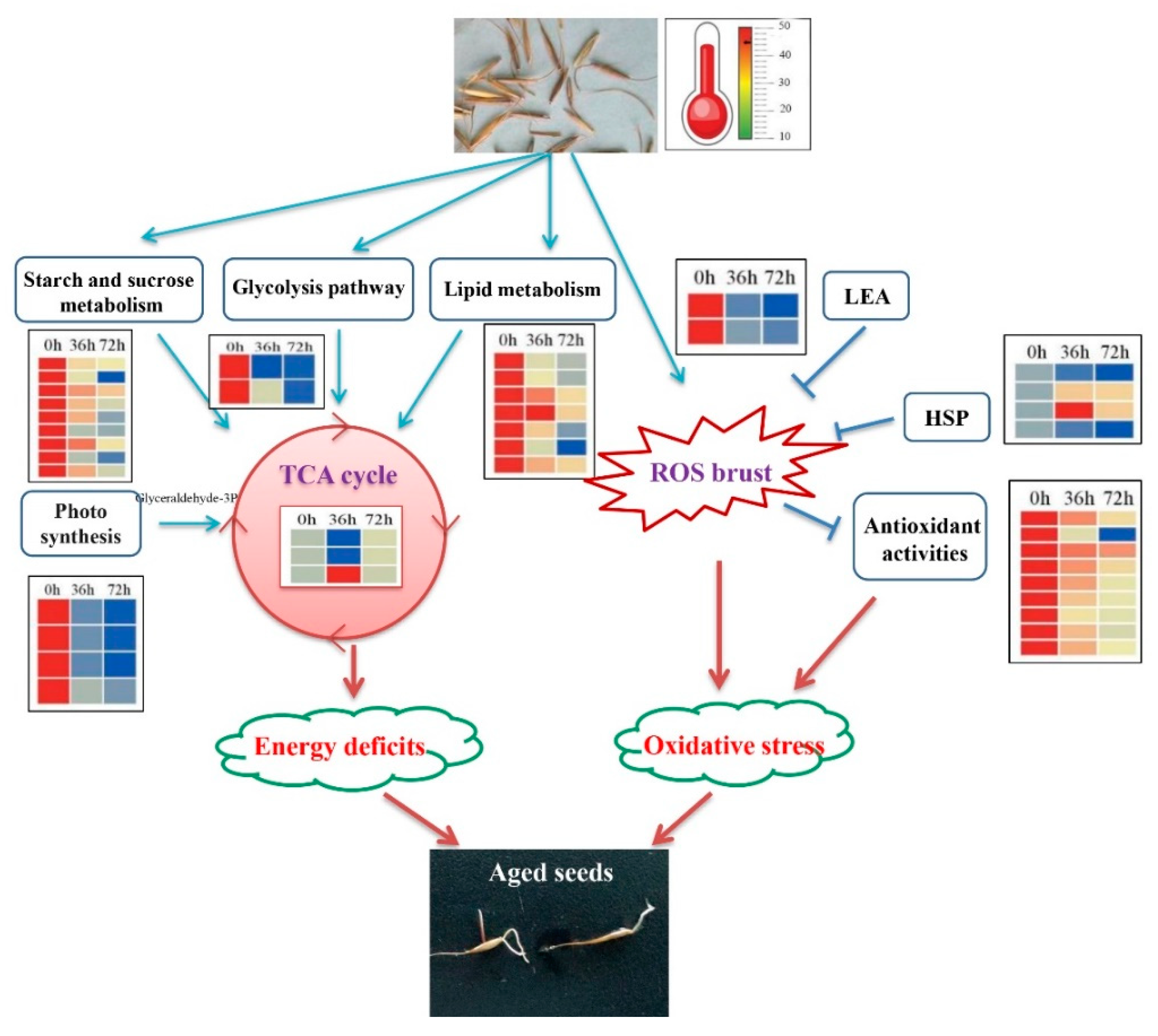 Plants 09 01370 g005