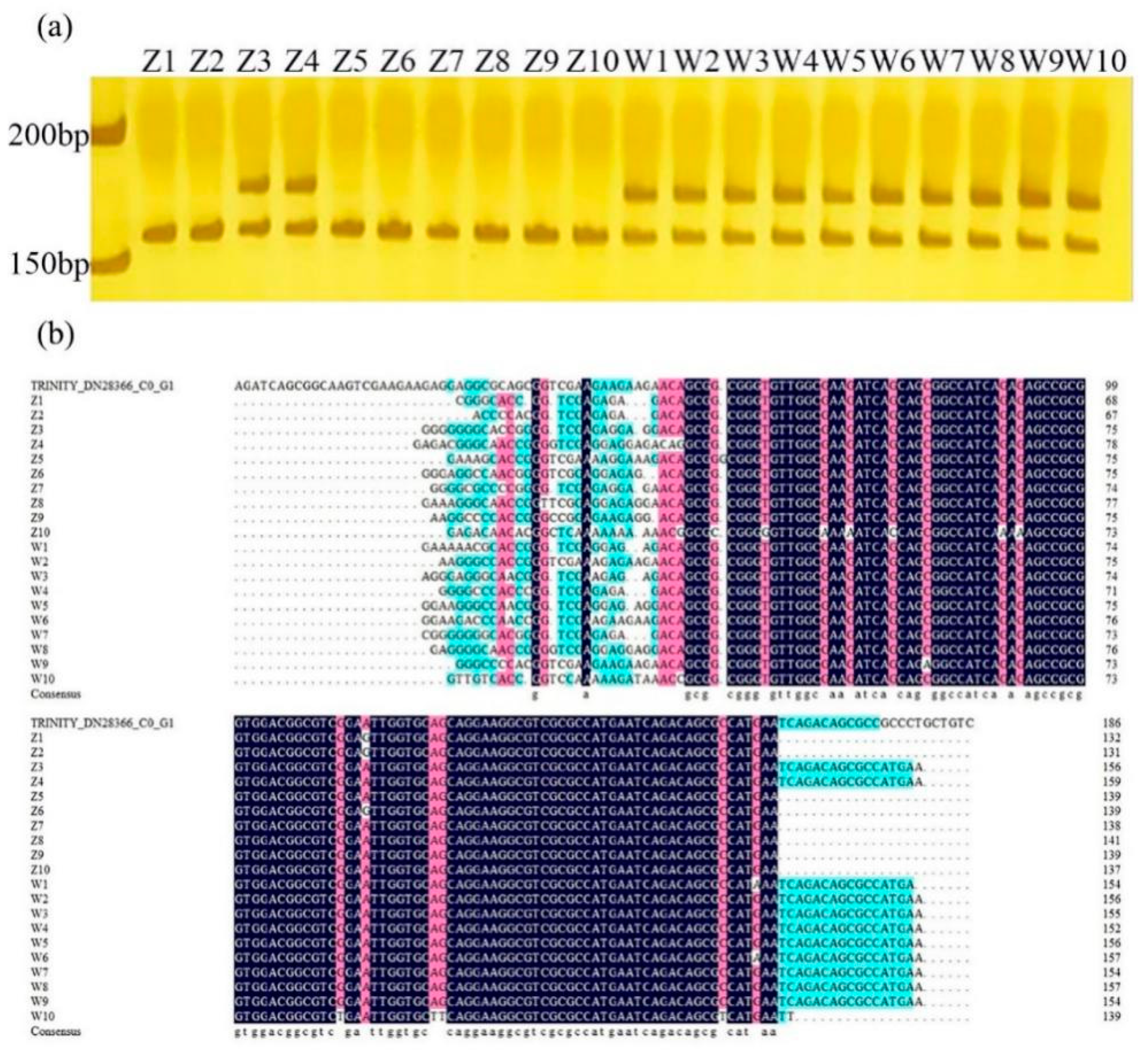 Plants 09 01371 g005