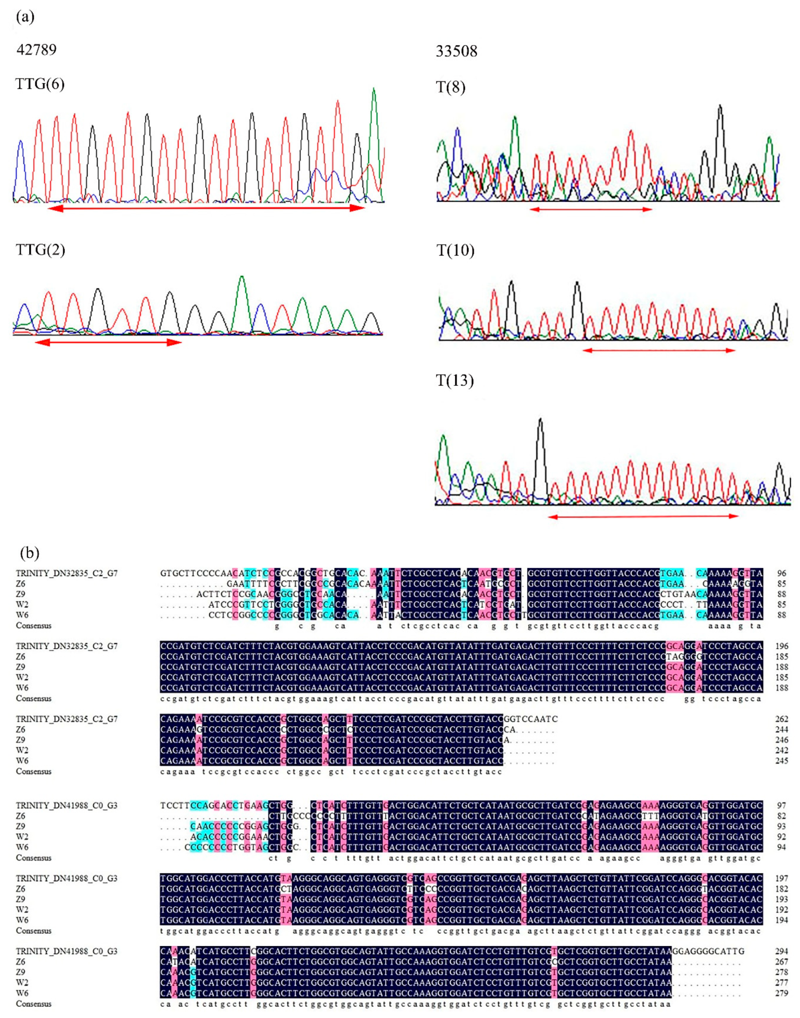 Plants 09 01371 g006