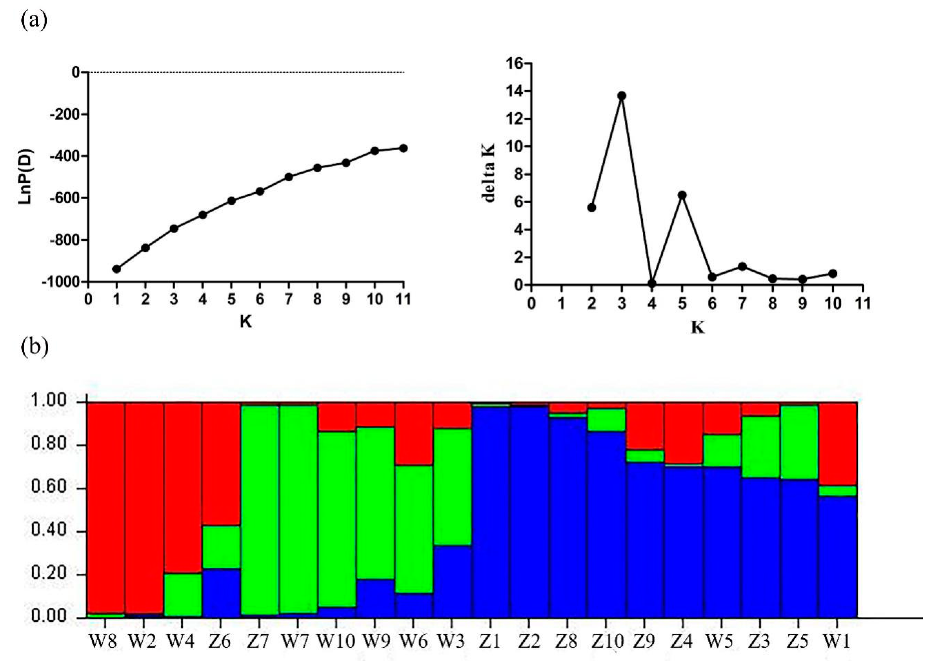 Plants 09 01371 g008