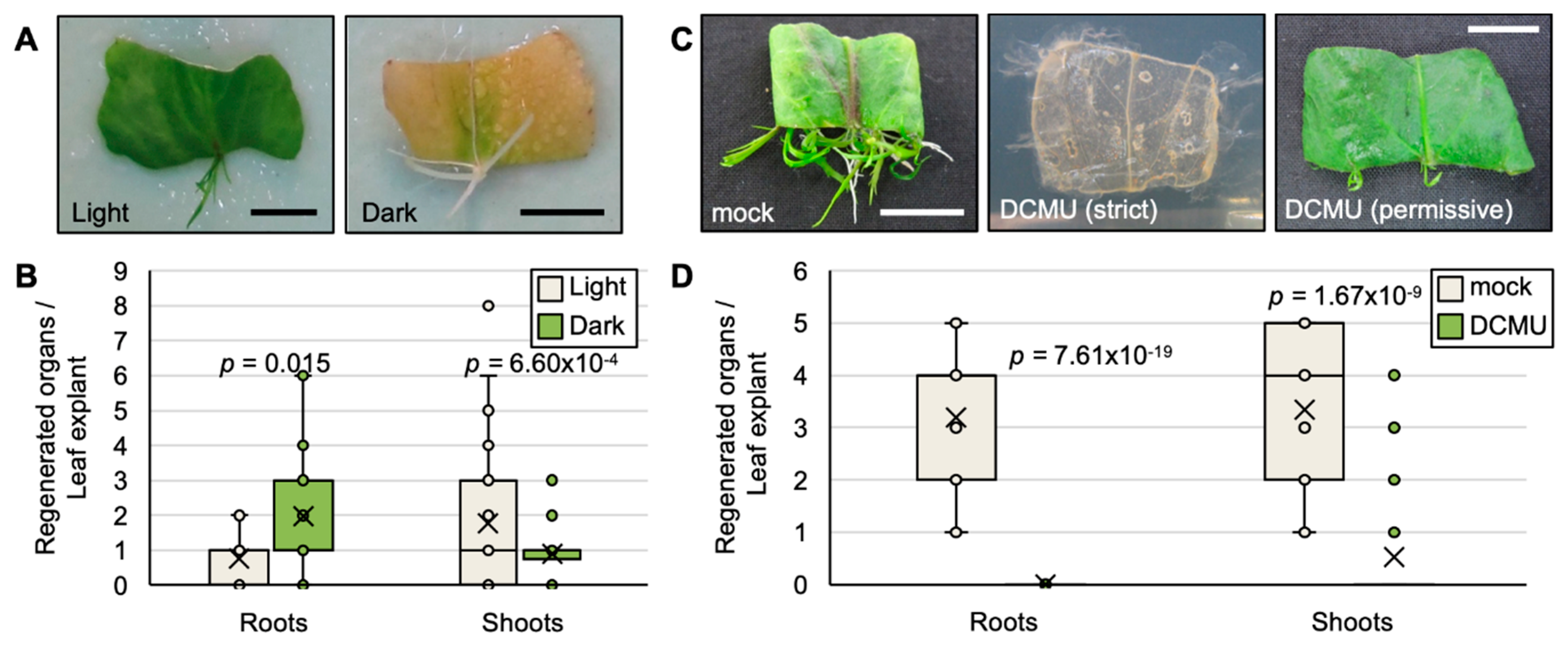 Plants 09 01372 g002