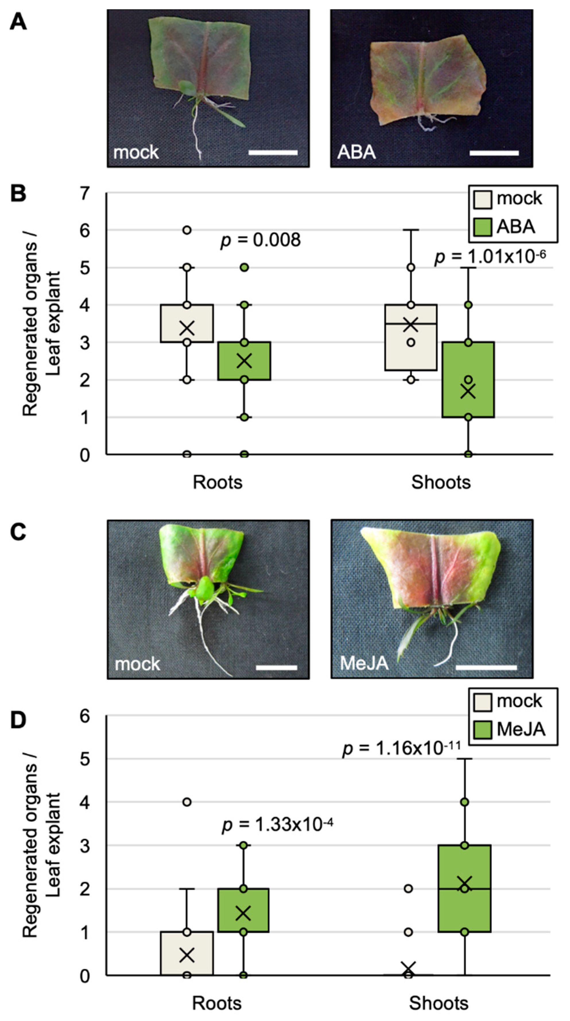 Plants 09 01372 g006