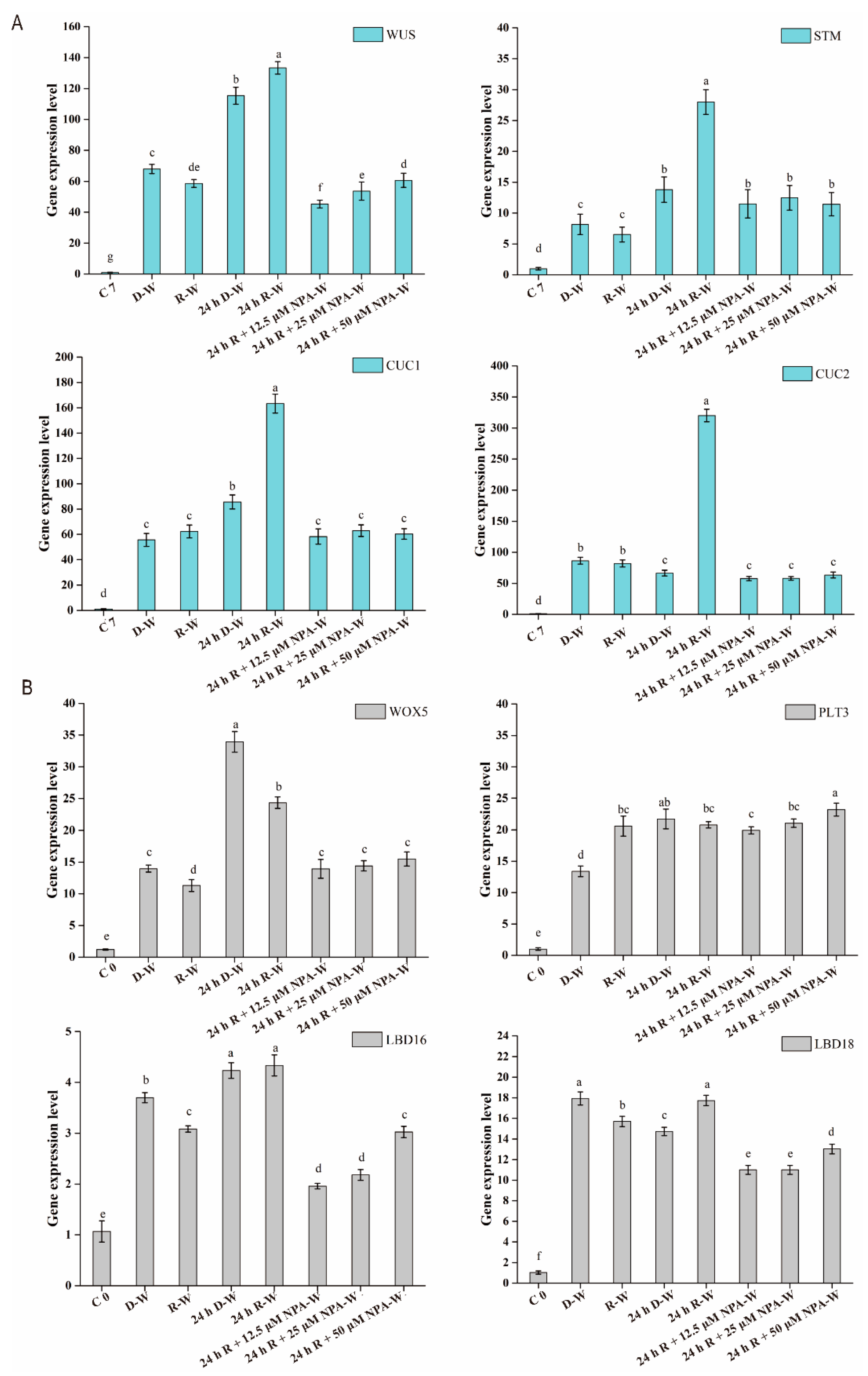 Plants 09 01378 g005