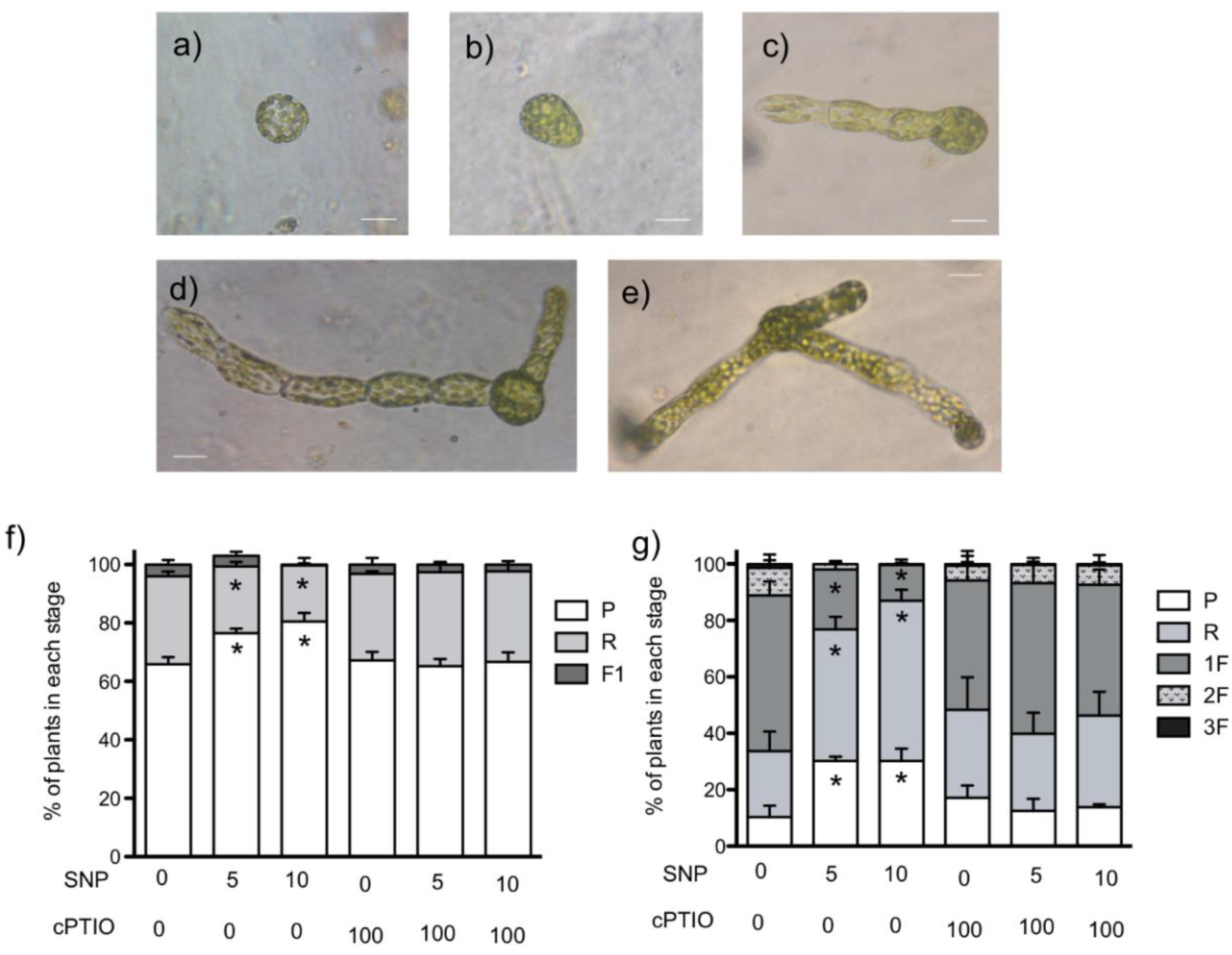 Plants 09 01380 g002