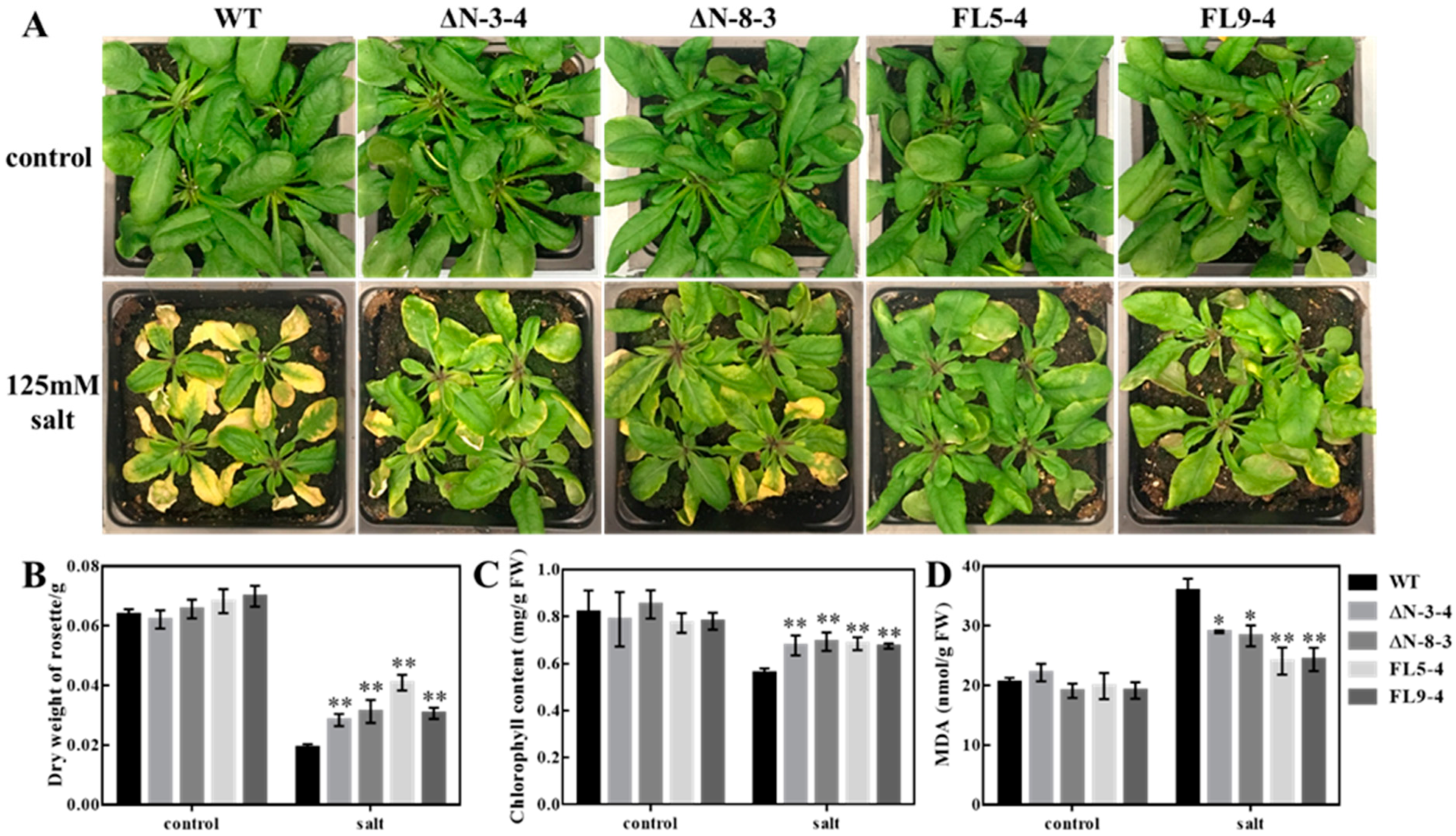 Plants 09 01383 g001