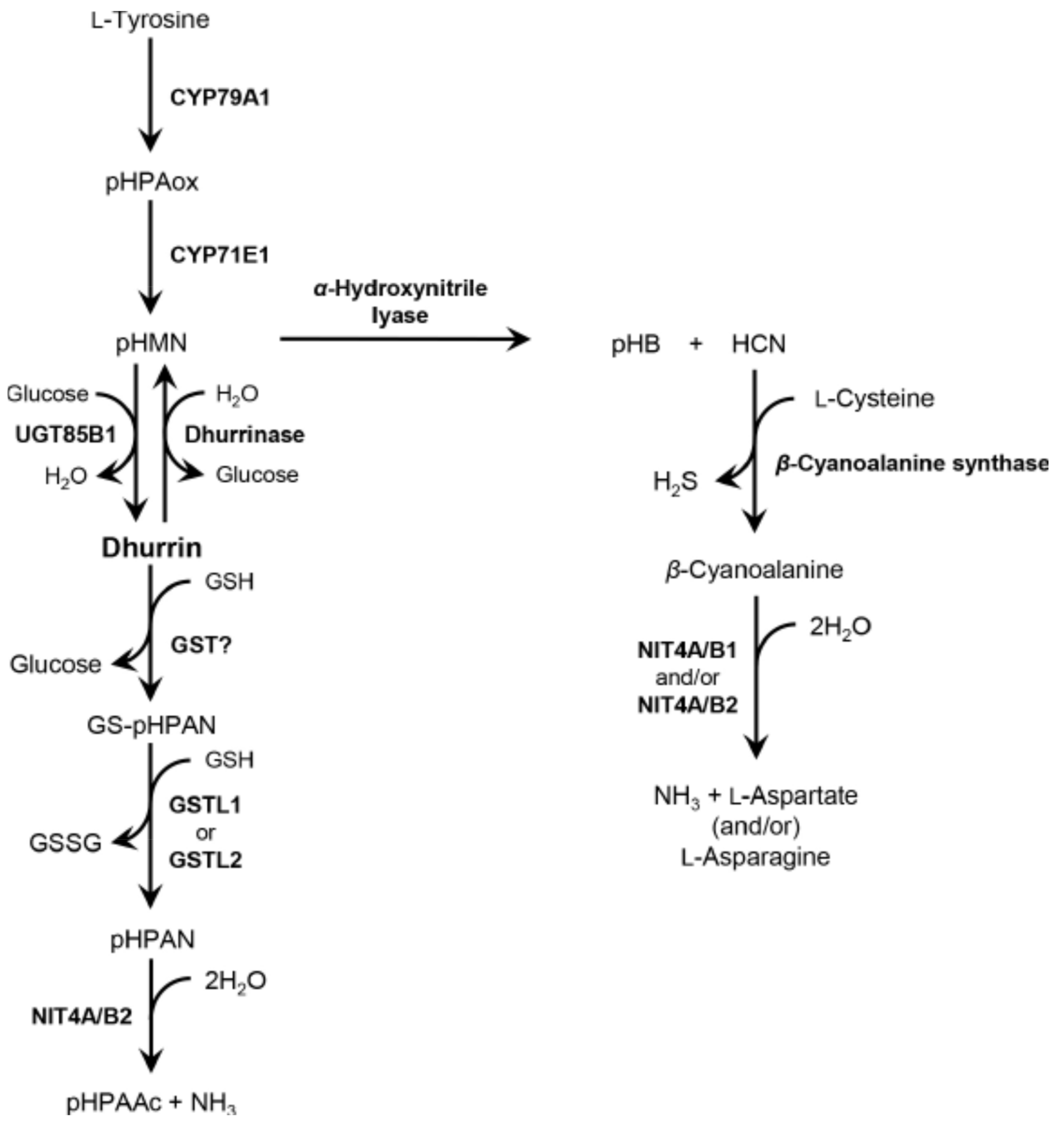Plants 09 01390 g001 Plants 09 01390 g001