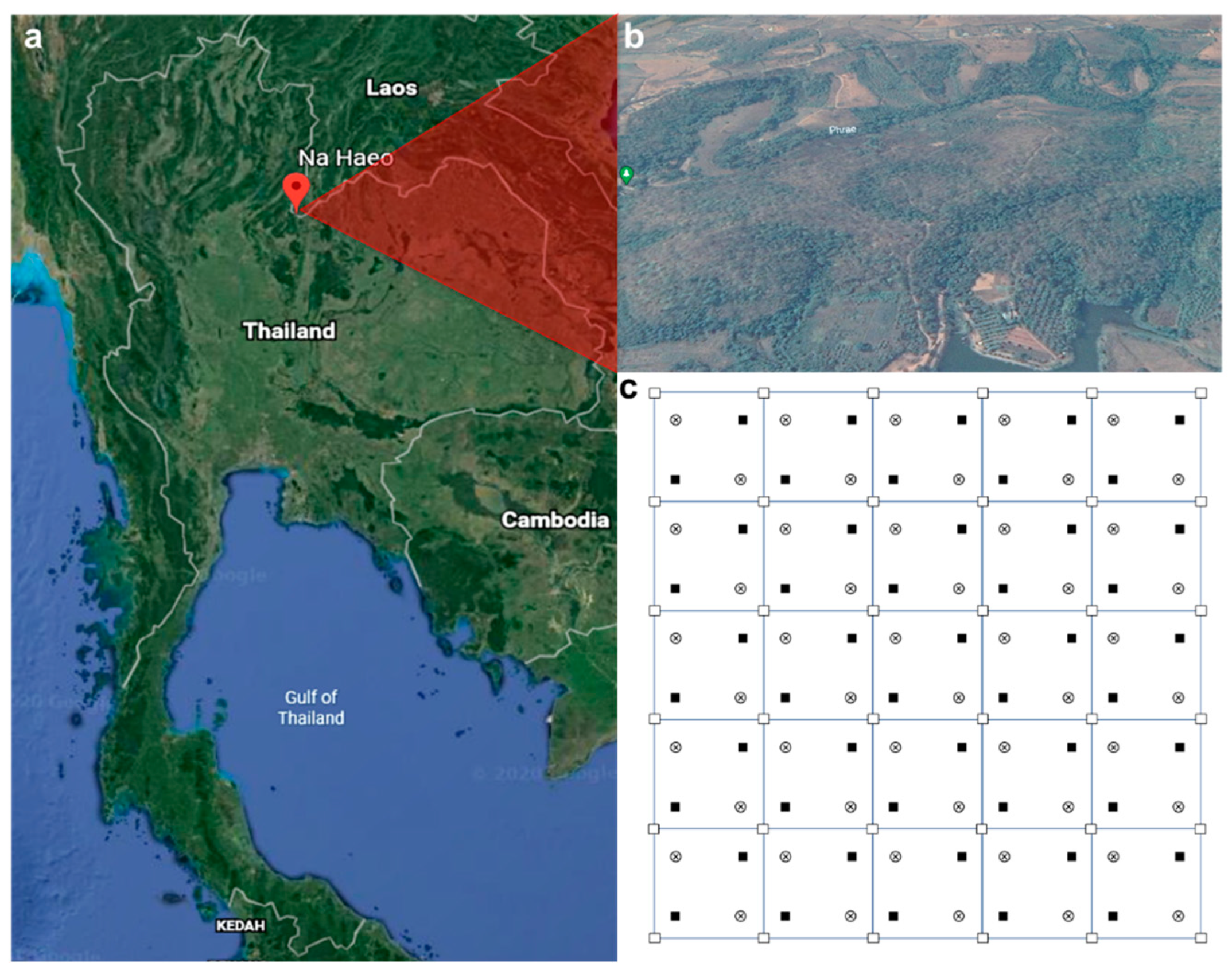 Plants Free Full Text Seed Rain Soil Seed Bank And Seedling Emergence Indicate Limited Potential For Self Recovery In A Highly Disturbed Tropical Mixed Deciduous Forest Html