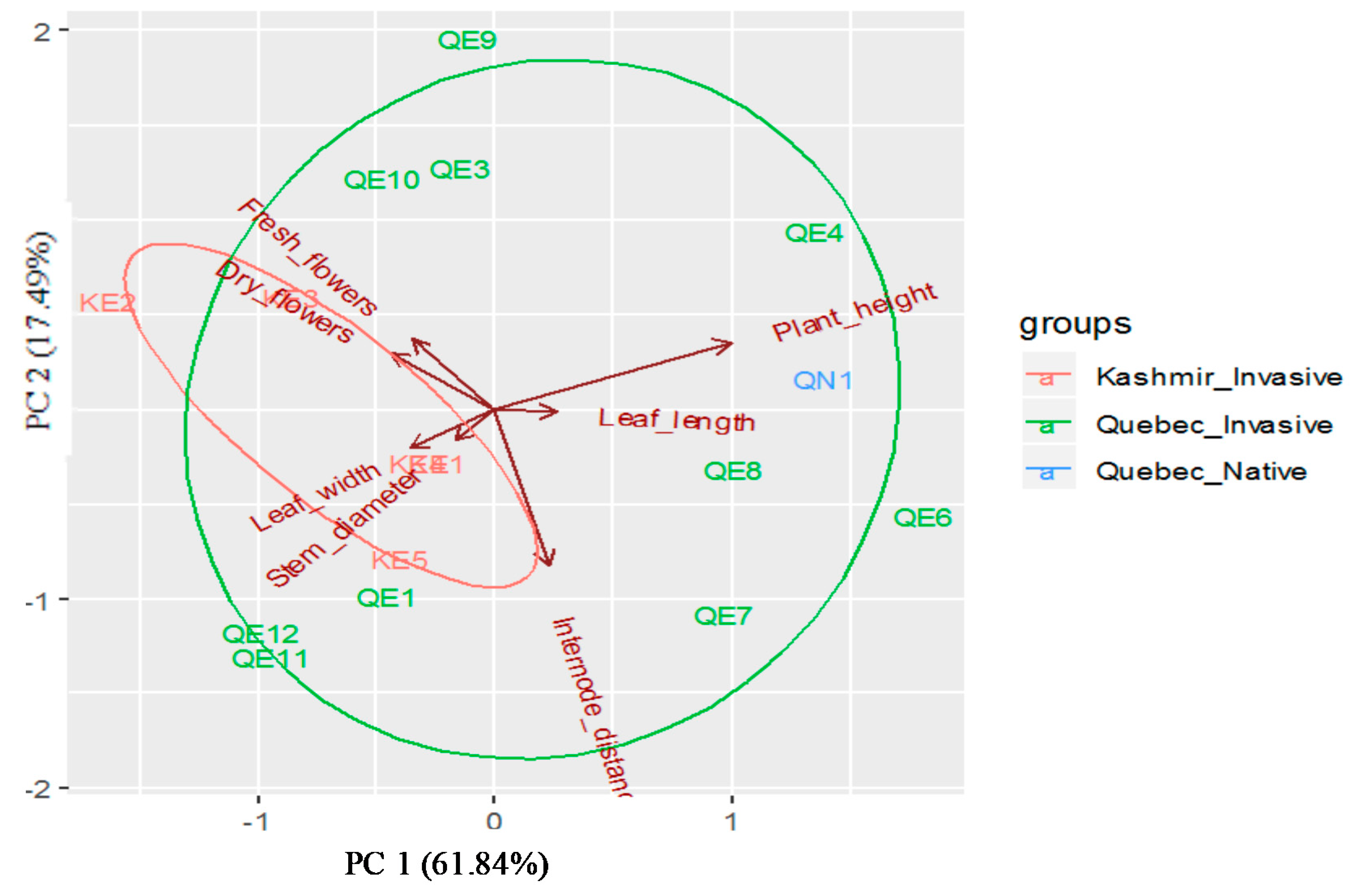 Plants 09 01392 g003