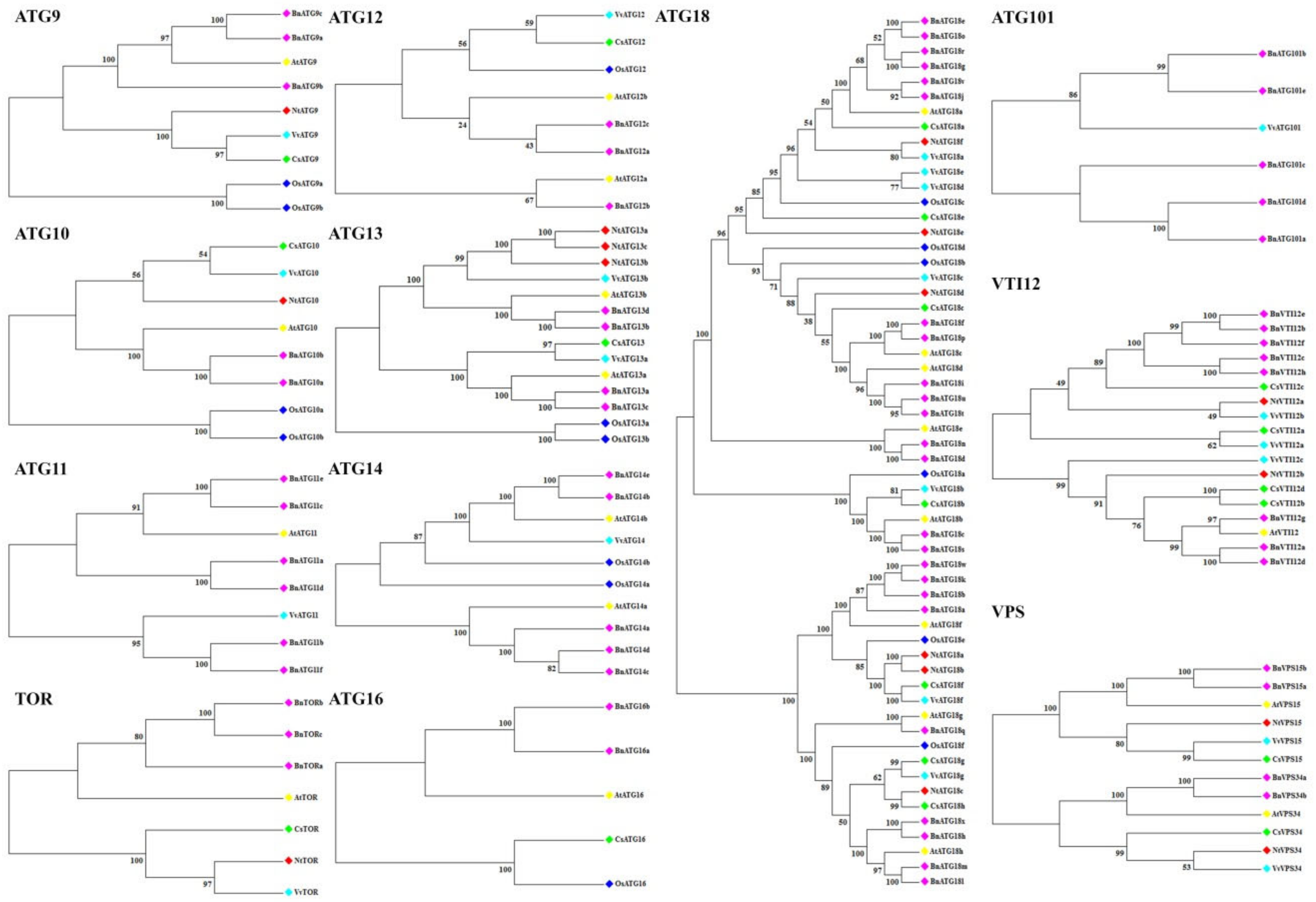 Plants 09 01393 g002