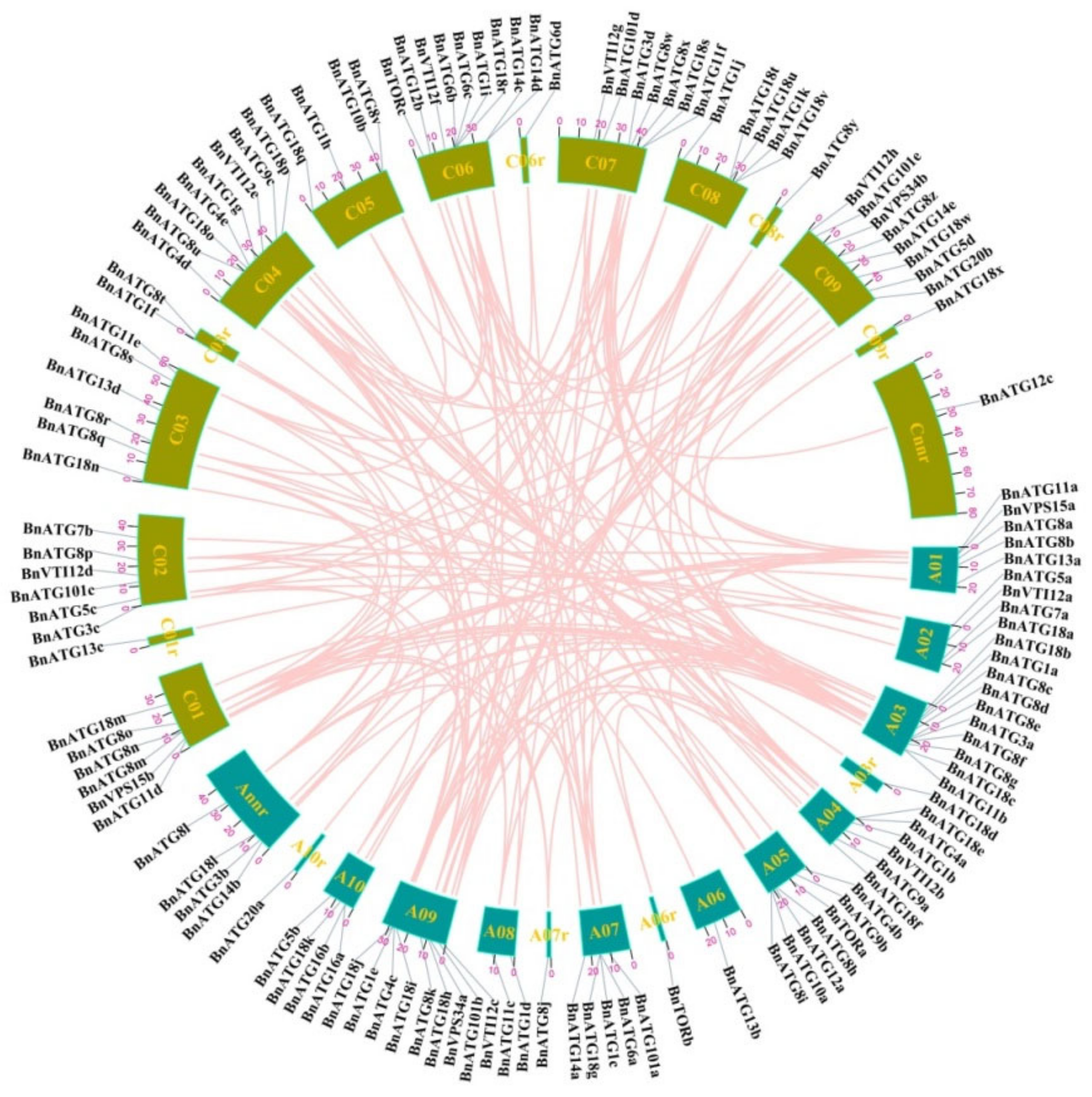 Plants 09 01393 g003