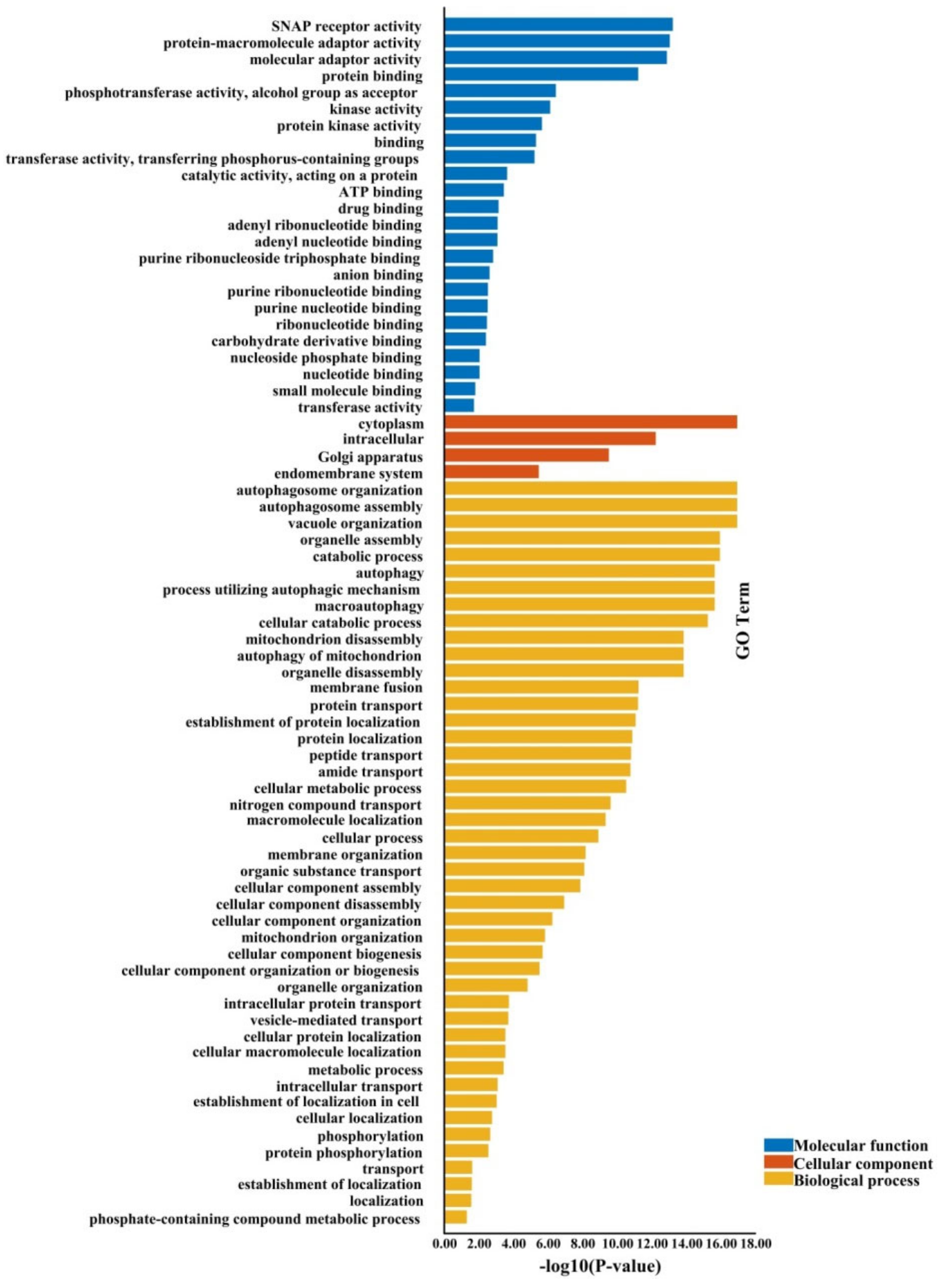 Plants 09 01393 g008