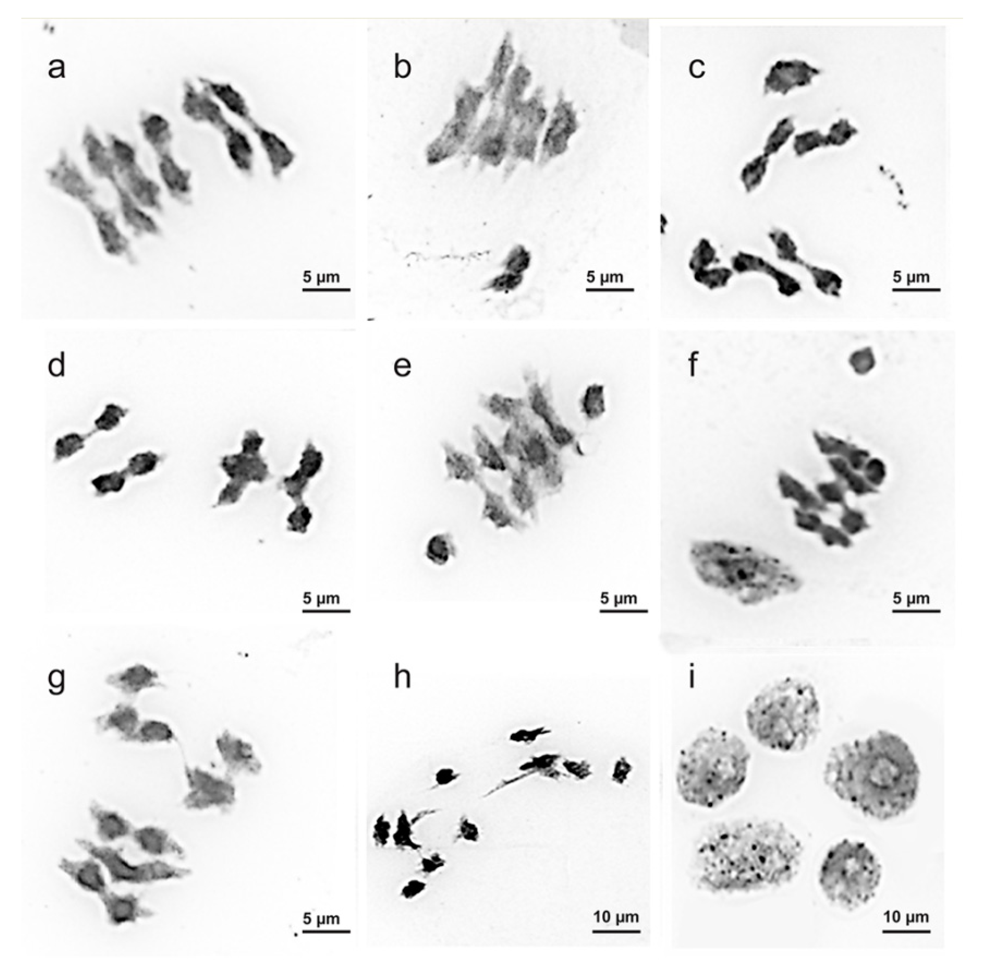 Plants 09 01396 g004 Plants 09 01396 g004