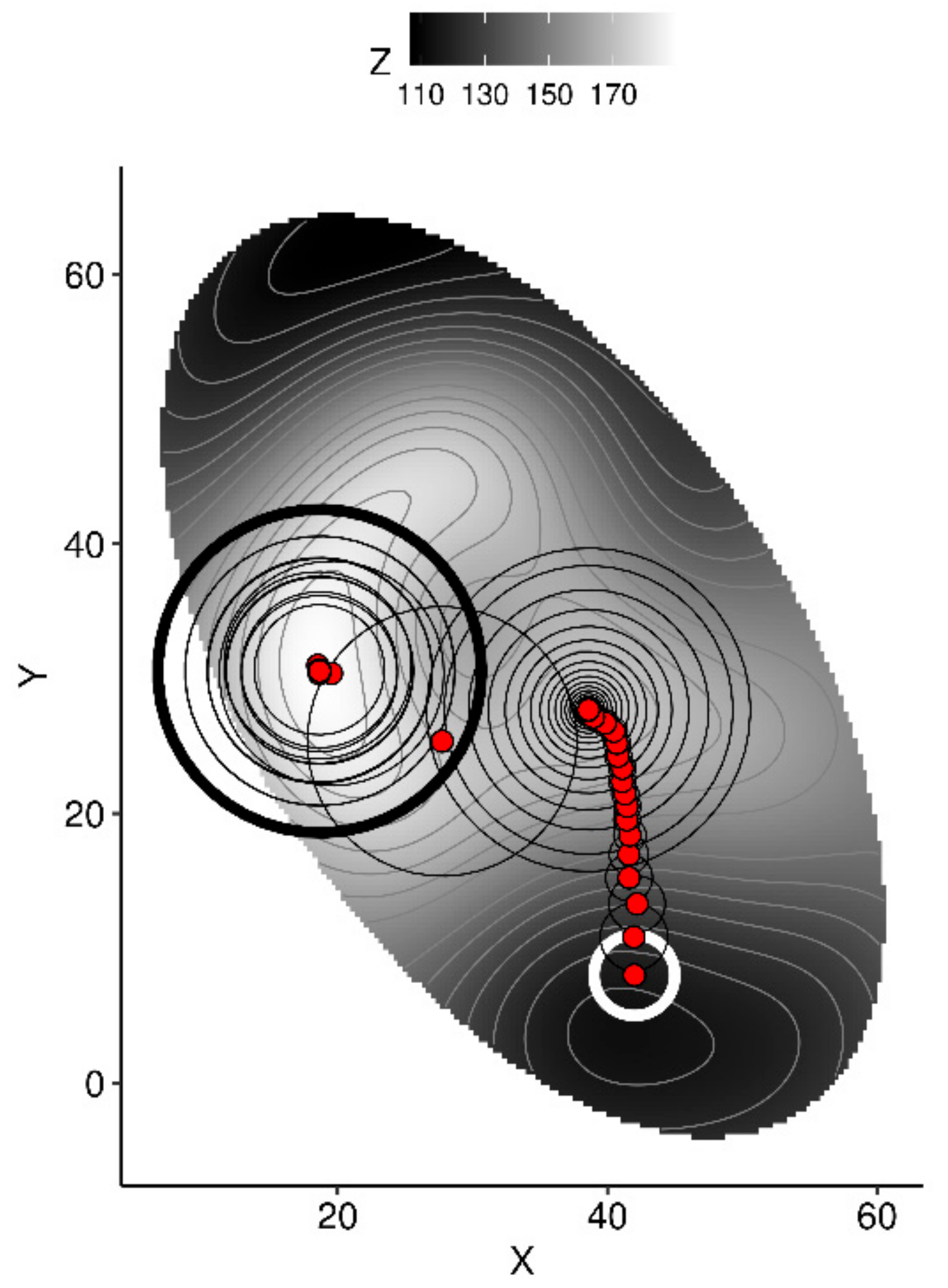 Plants 09 01401 g003 Plants 09 01401 g003