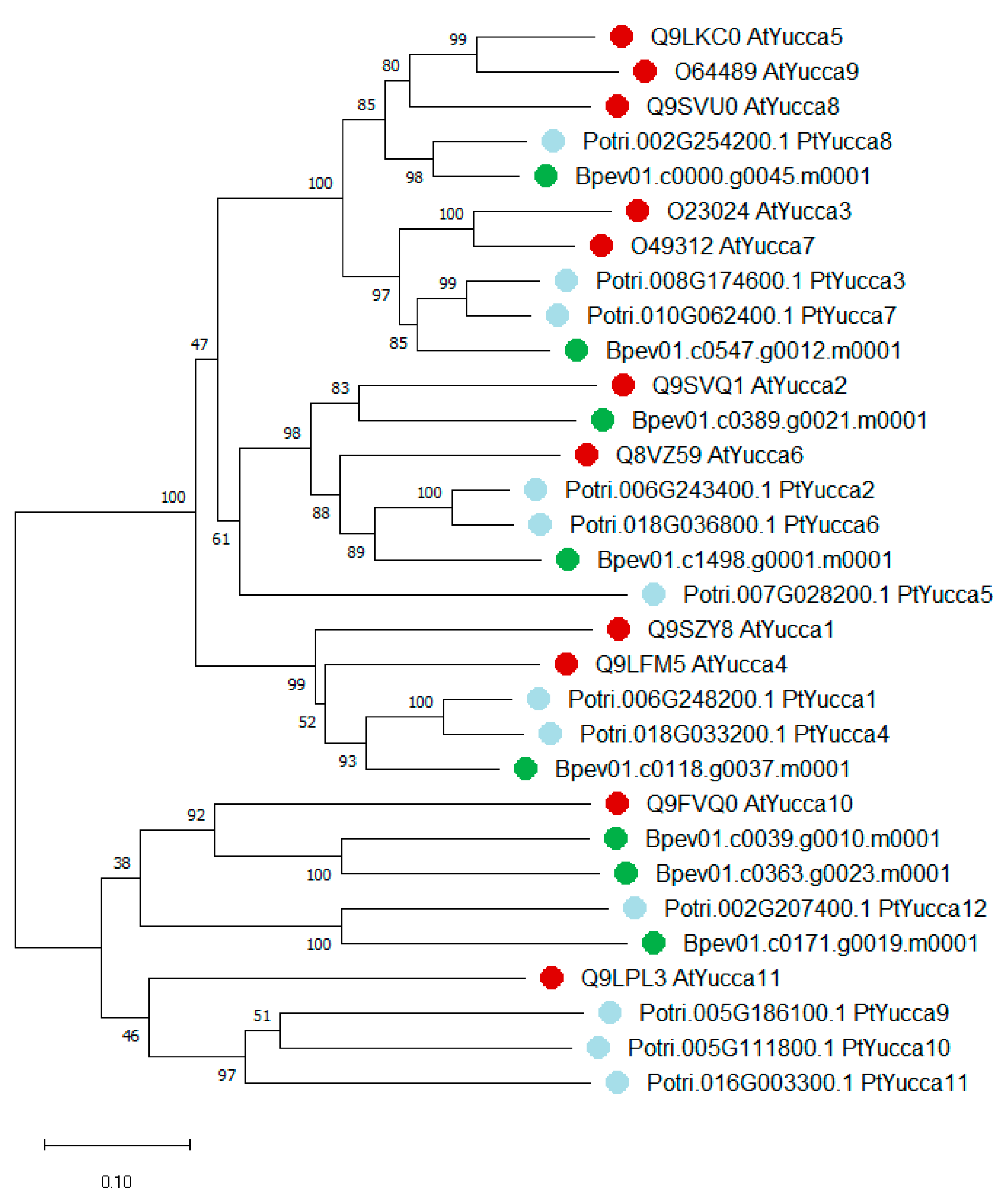 Plants 09 01406 g004