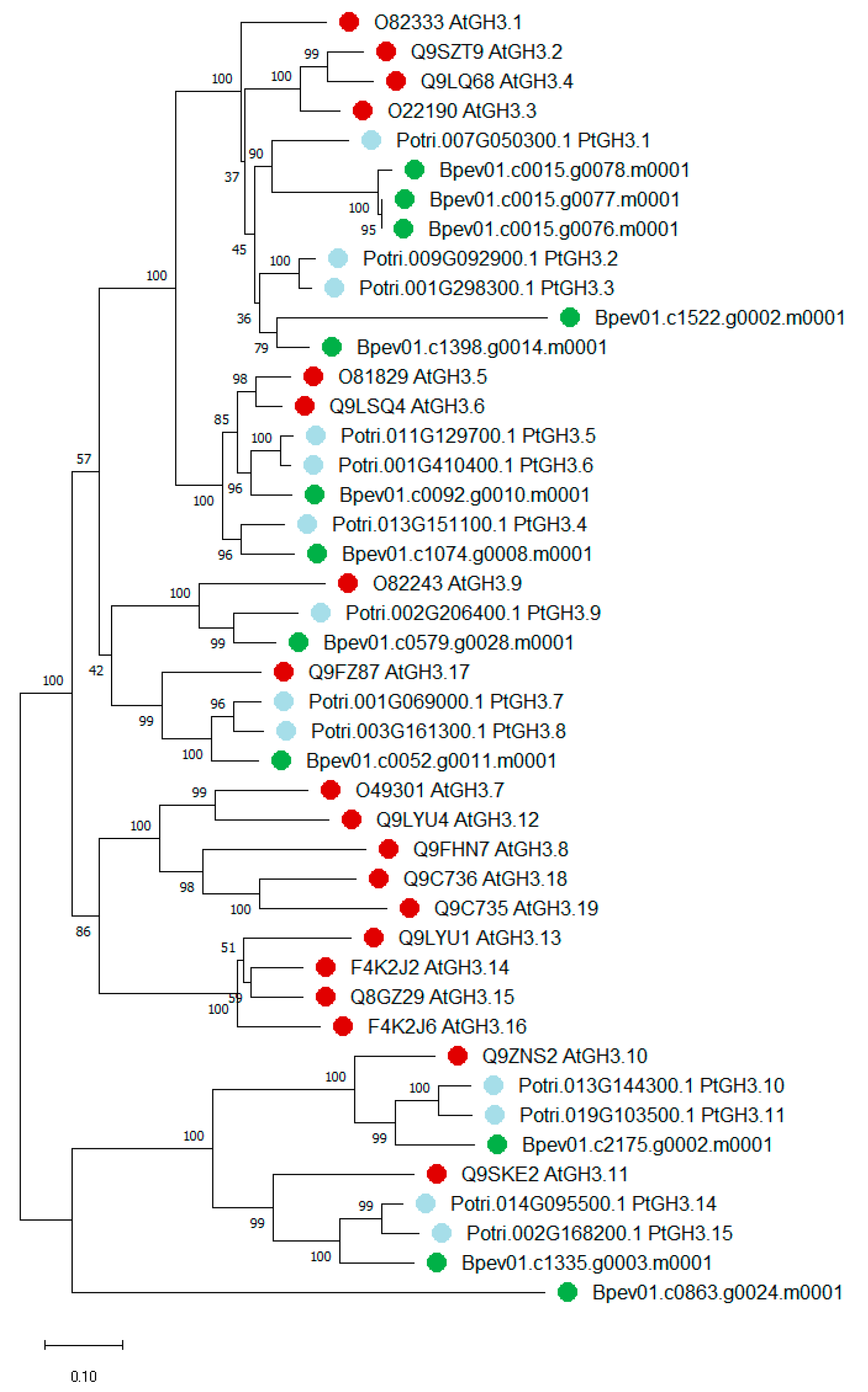 Plants 09 01406 g007