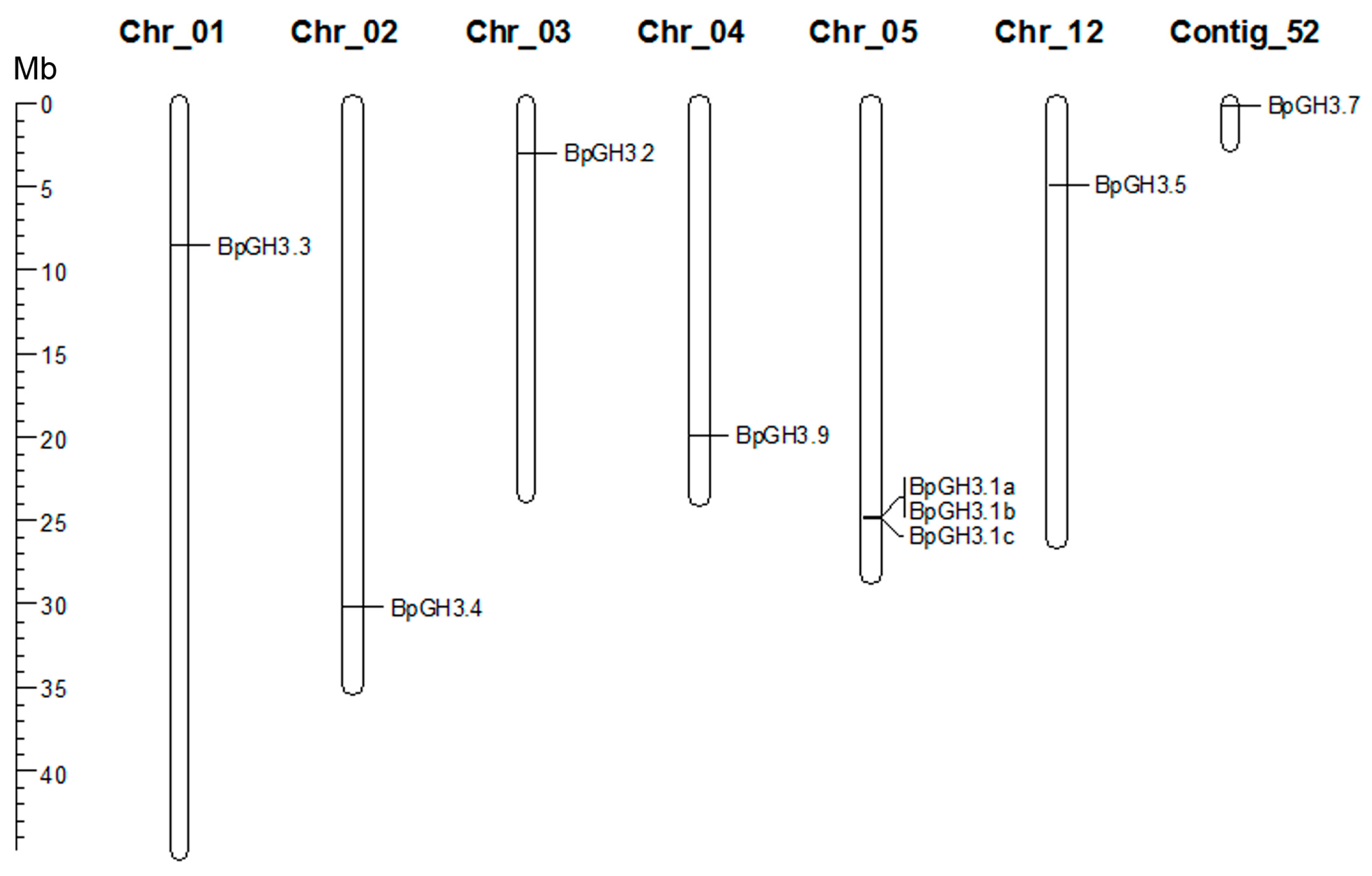 Plants 09 01406 g008