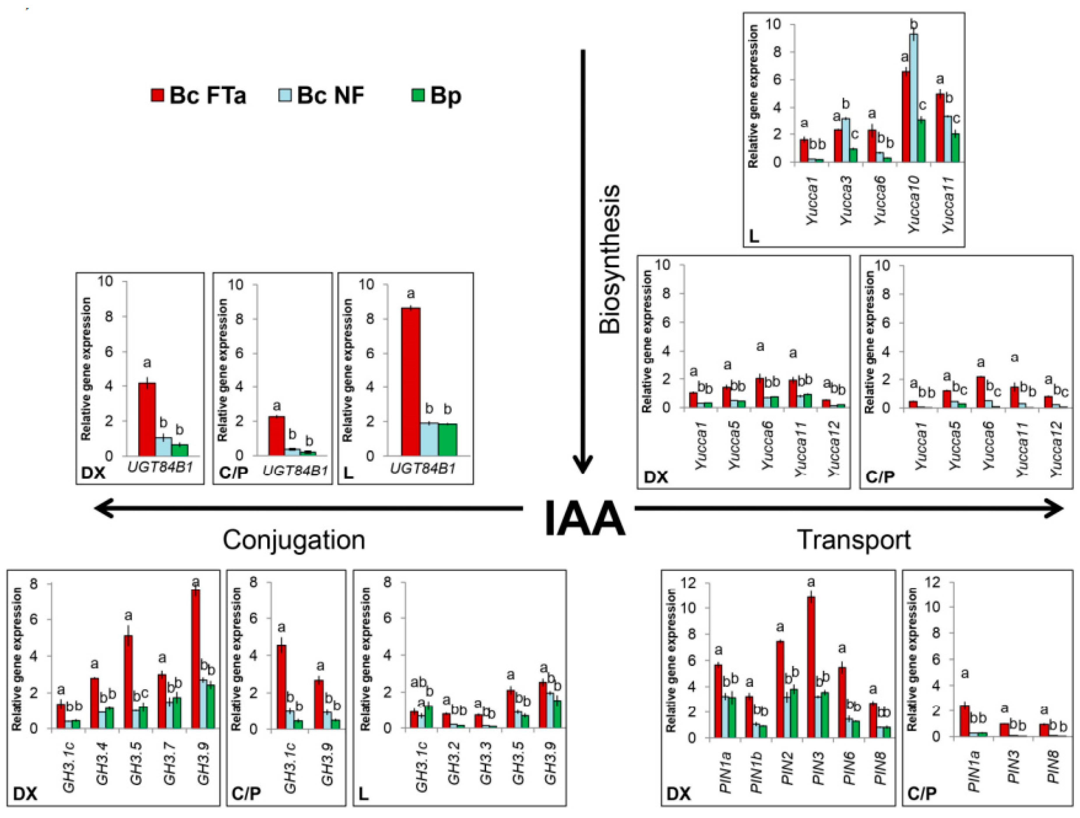 Plants 09 01406 g010
