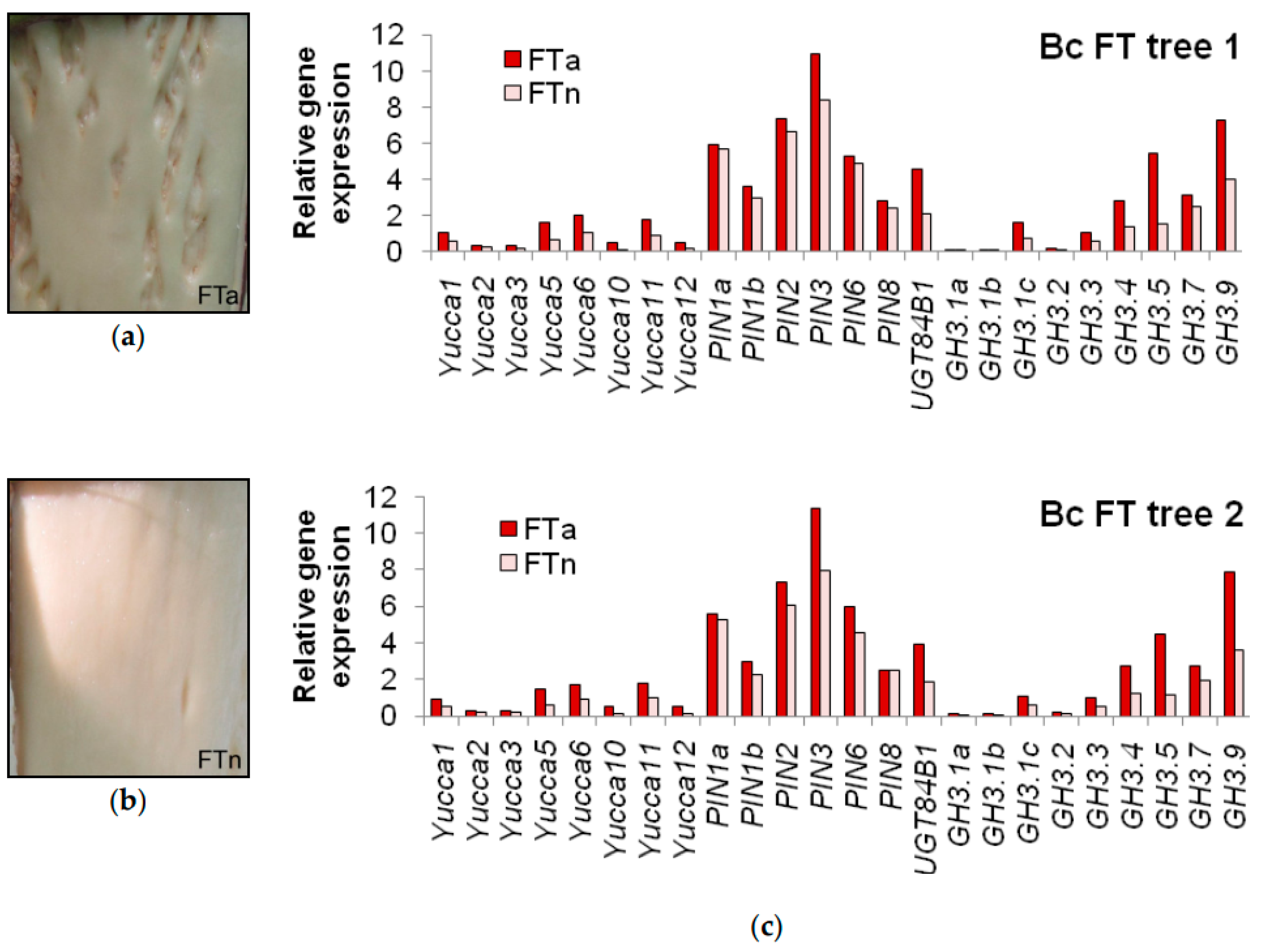 Plants 09 01406 g011