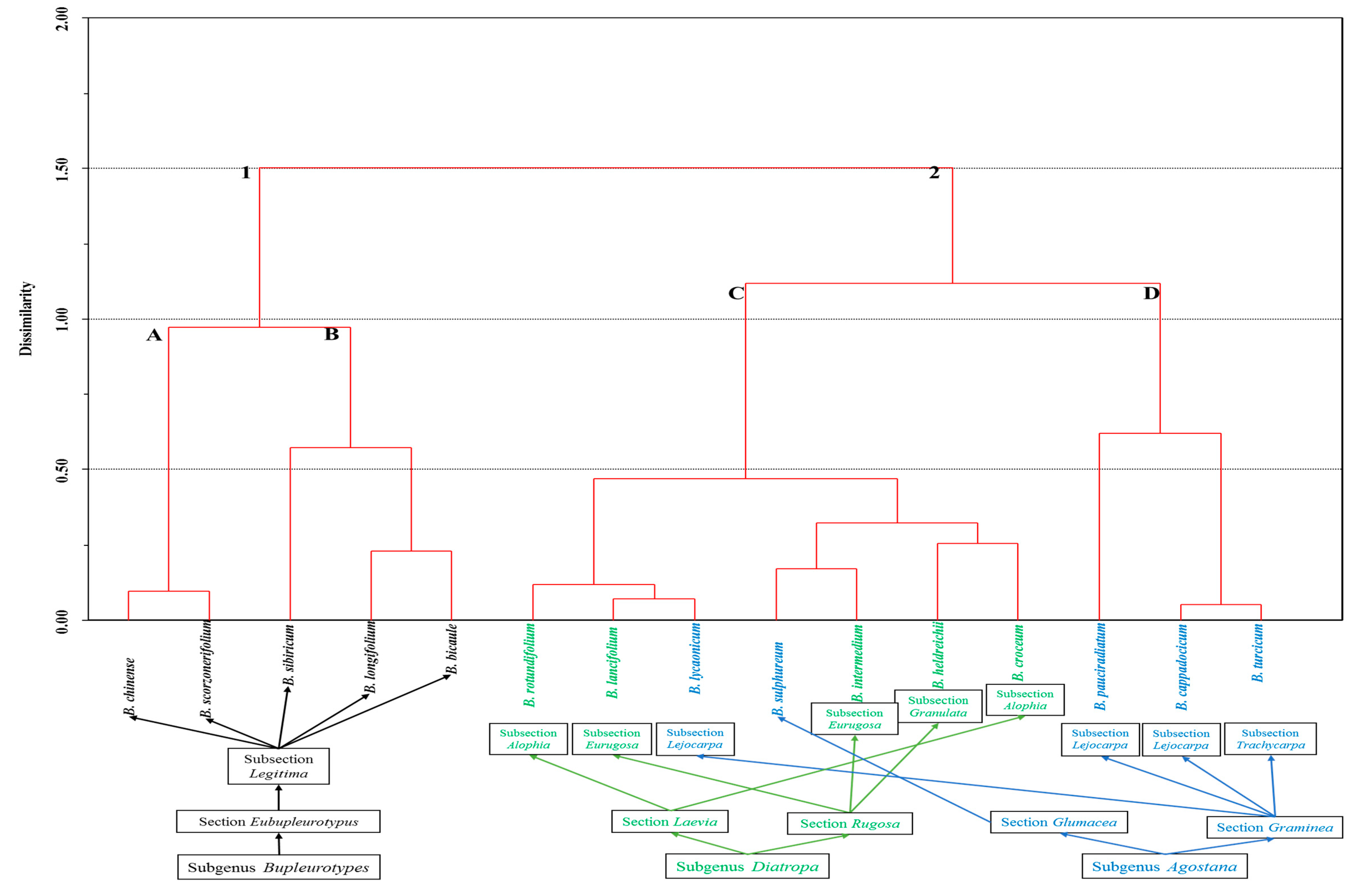 Plants 09 01407 g001