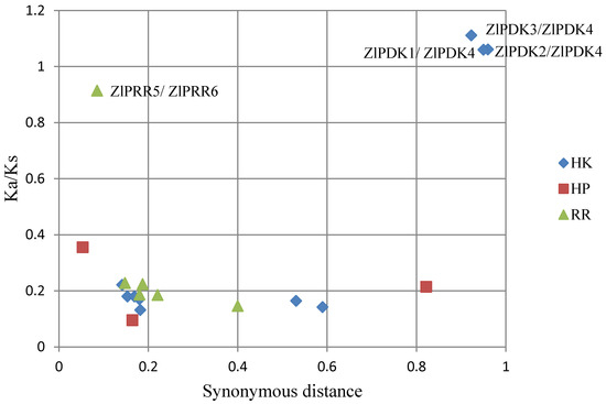 「数量限定 在庫処分セール」 Genome-Wide Characterization and Expression of Two-Component その他