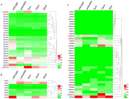 furuya Genome-Wide Characterization and Expression of Two-Component