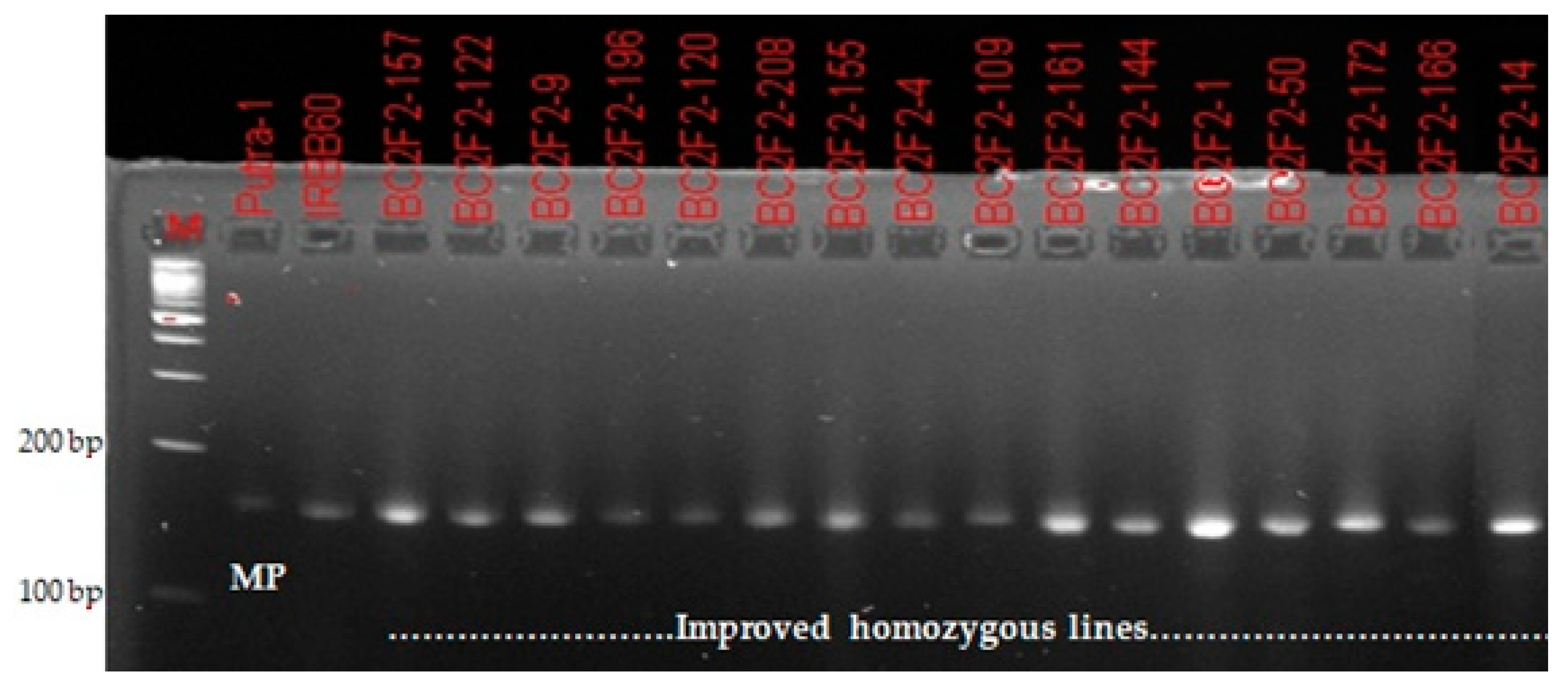 Plants 09 01411 g002