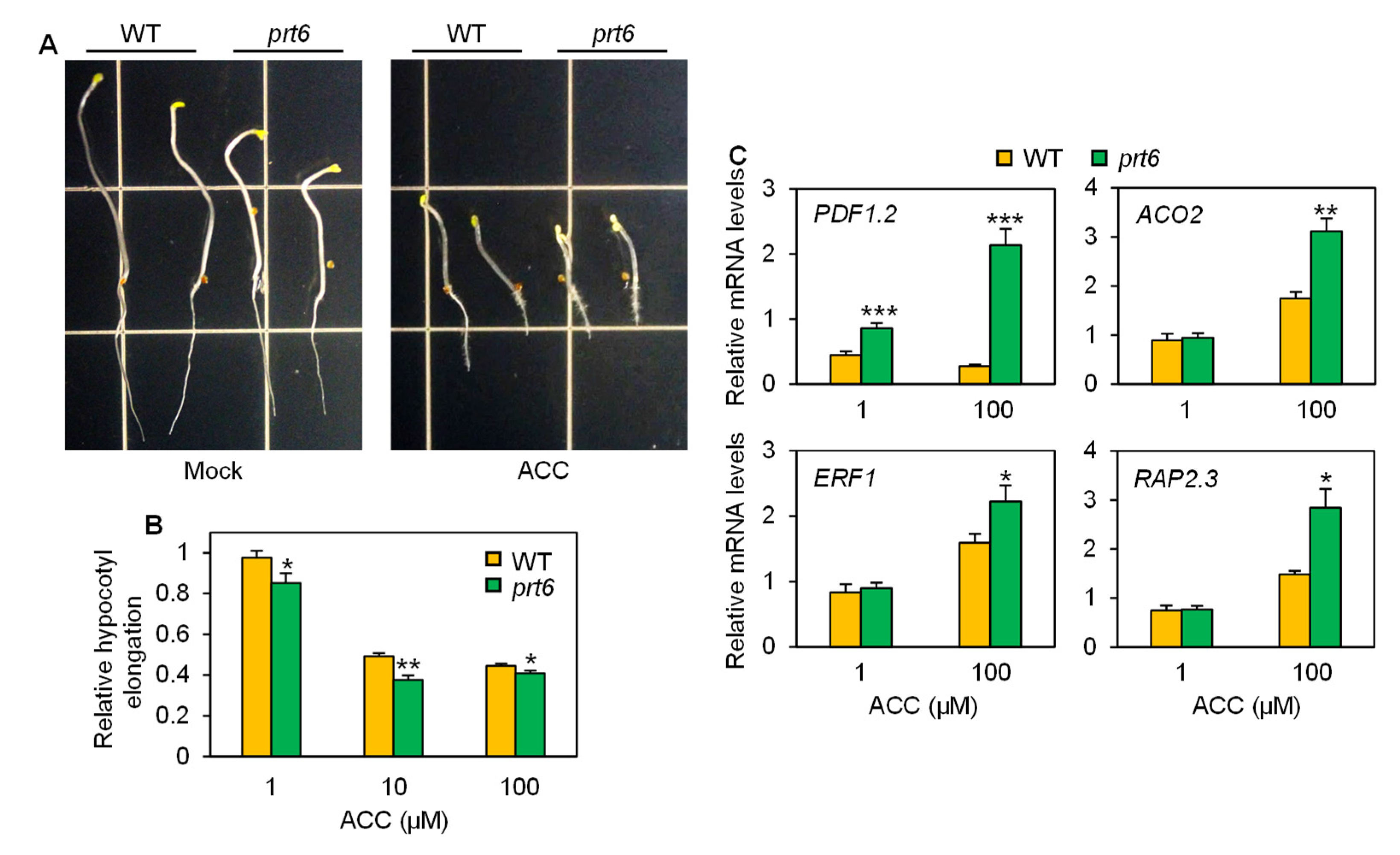 Plants 09 01415 g005