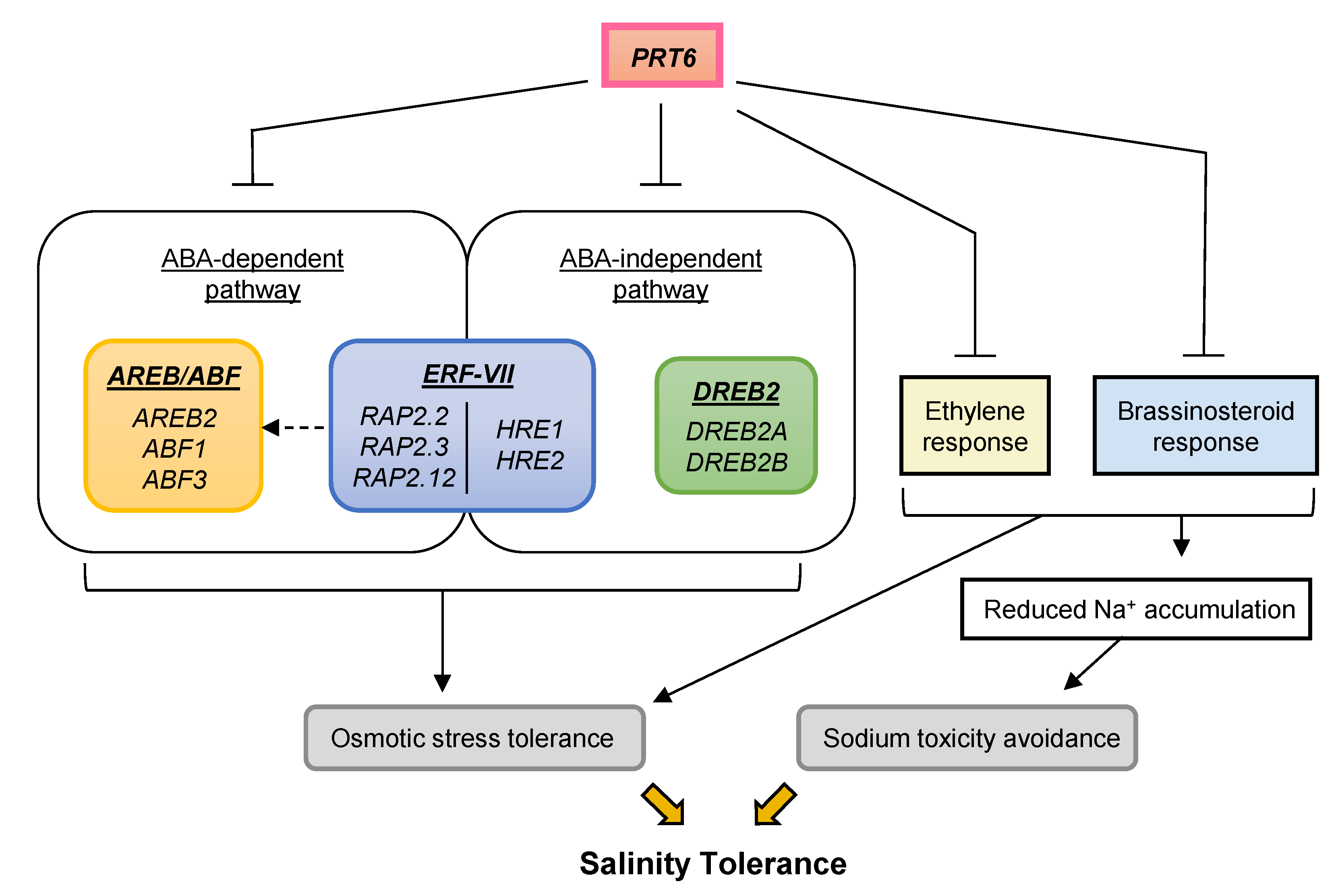 Plants 09 01415 g009
