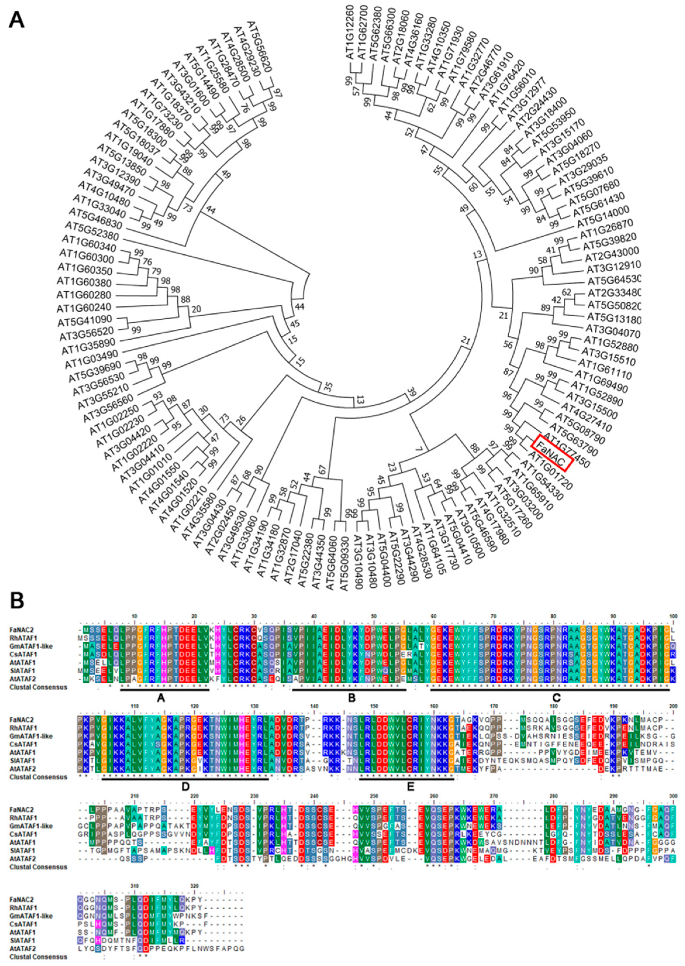 Plants 09 01417 g001
