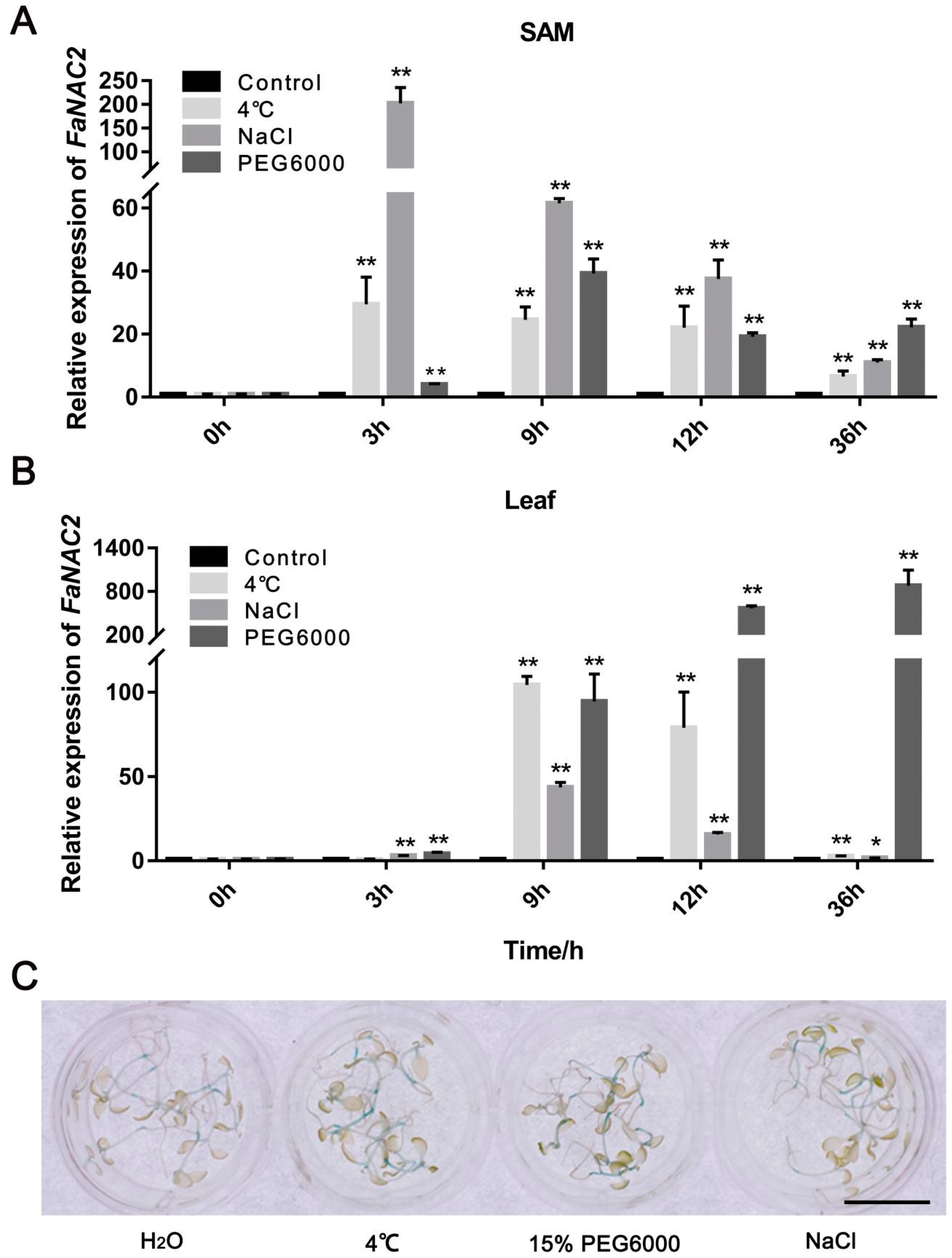 Plants 09 01417 g003