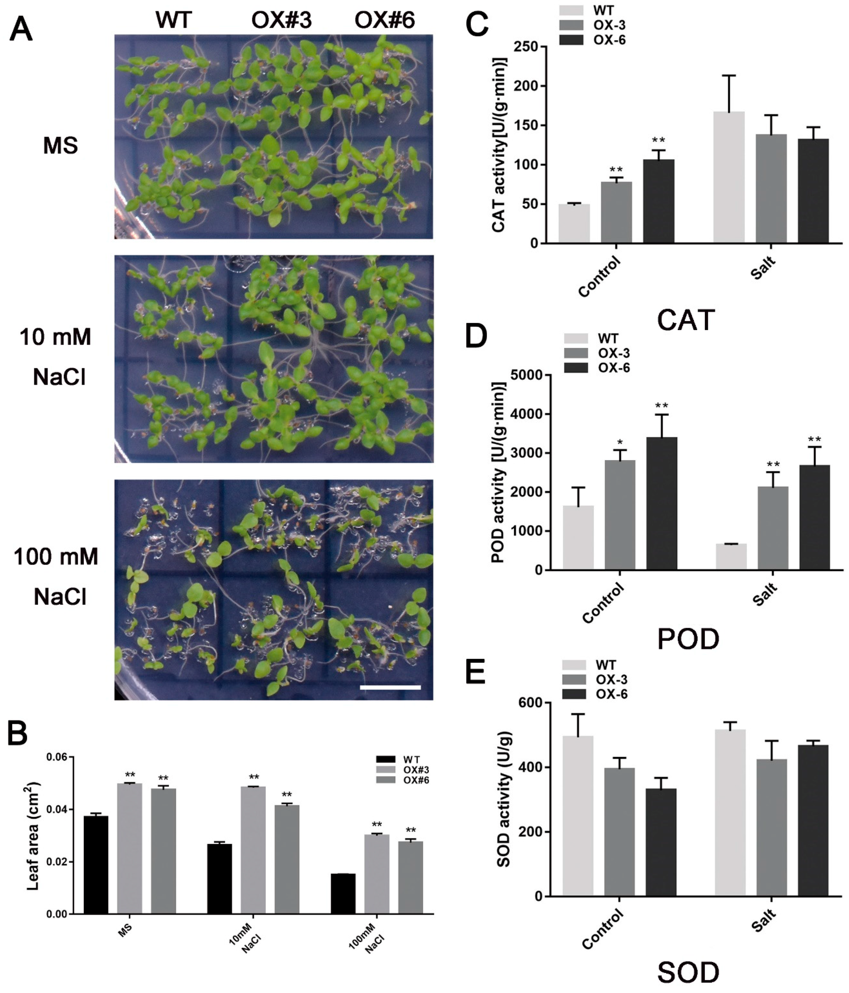 Plants 09 01417 g004