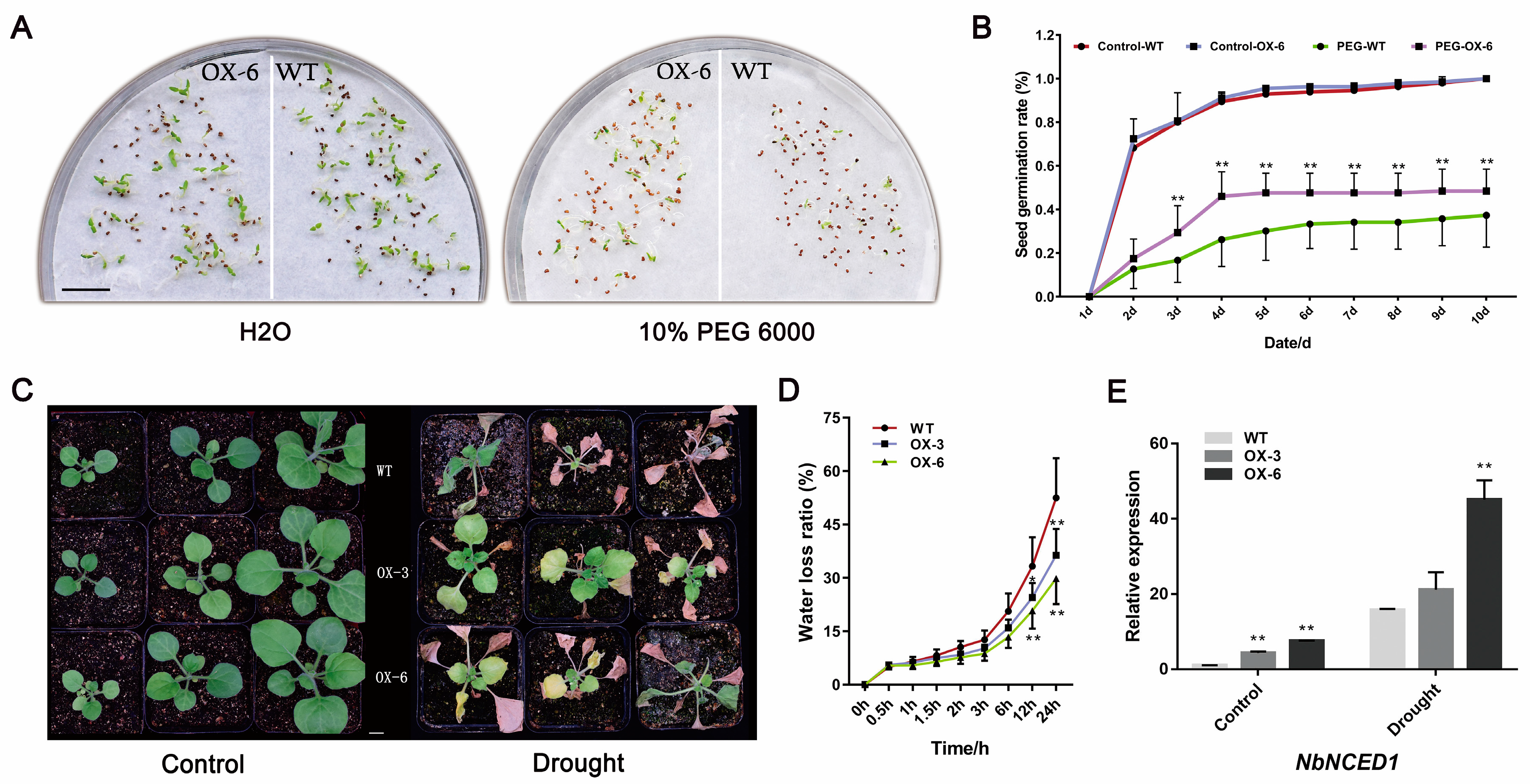 Plants 09 01417 g005
