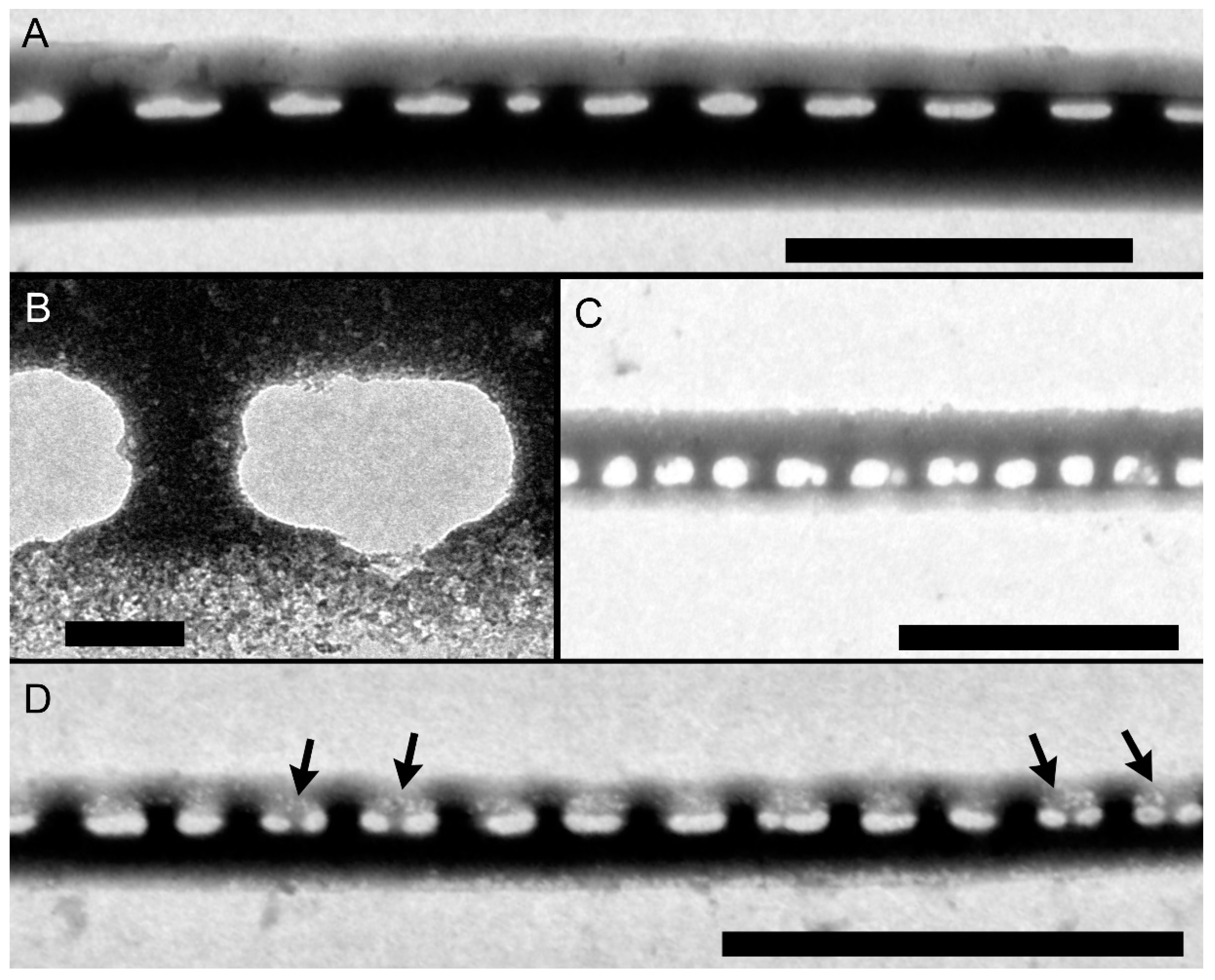 Plants 09 01420 g006