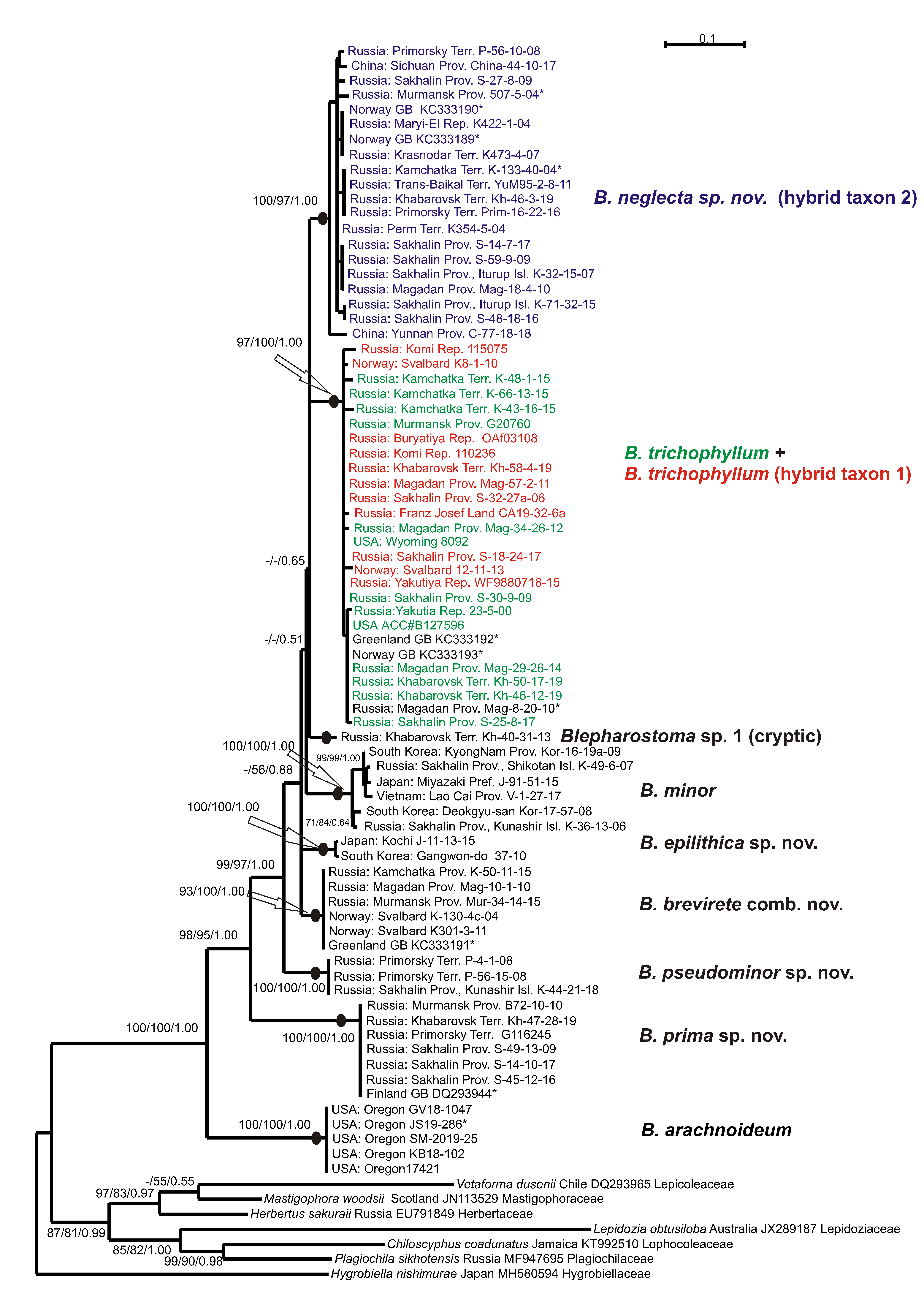 Plants 09 01423 g001