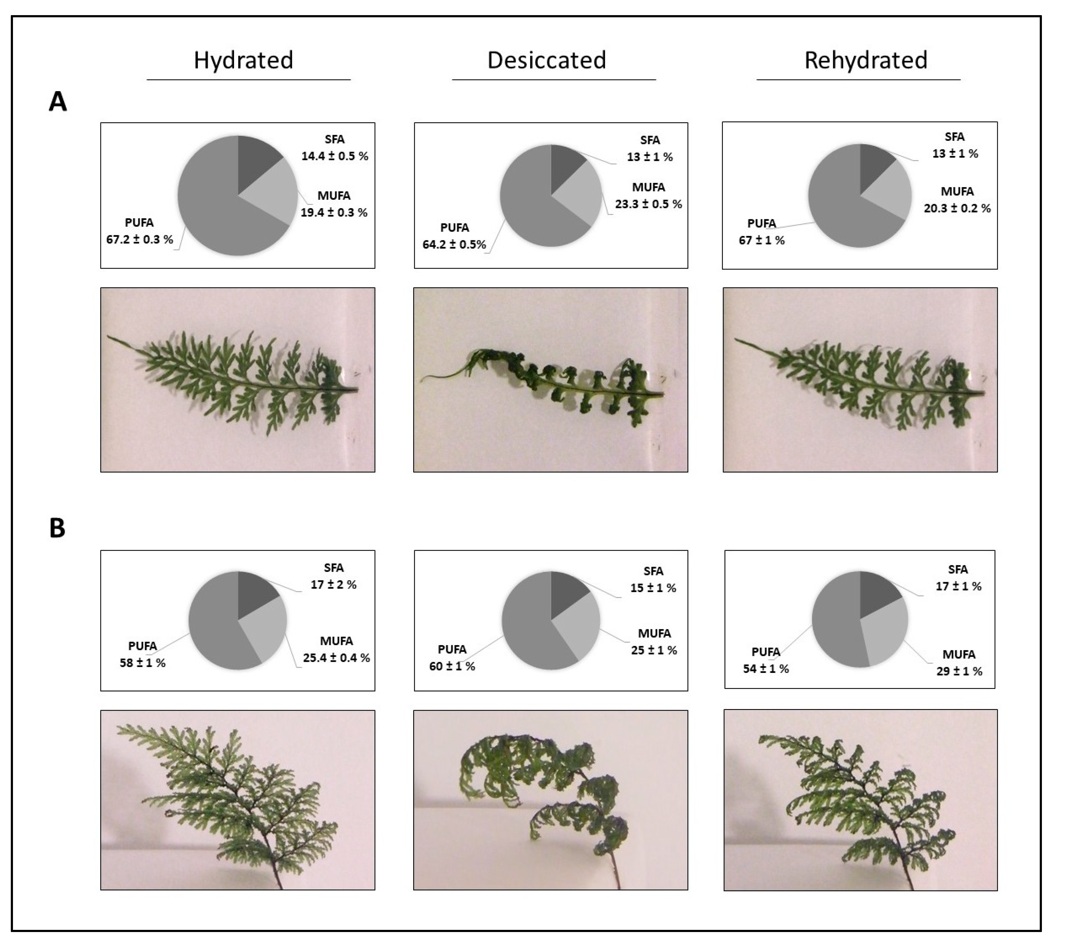 Plants 09 01431 g001 Plants 09 01431 g001
