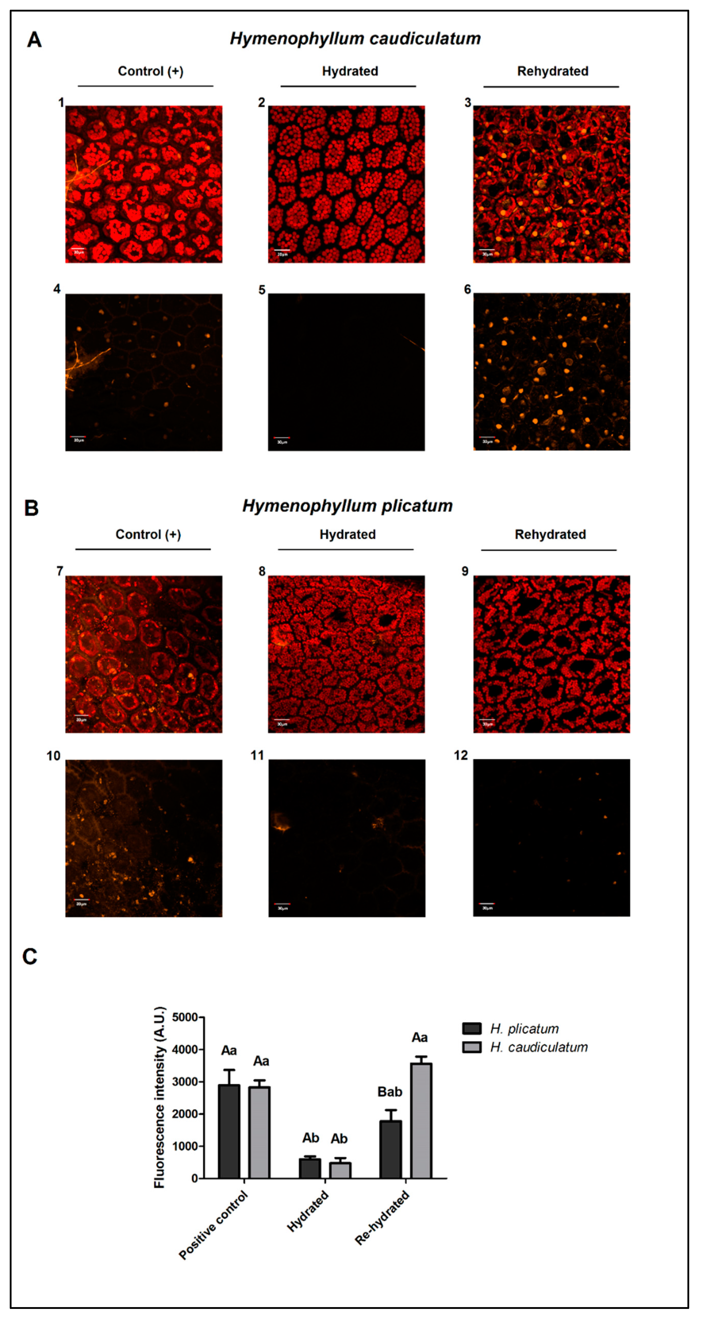 Plants 09 01431 g002 Plants 09 01431 g002