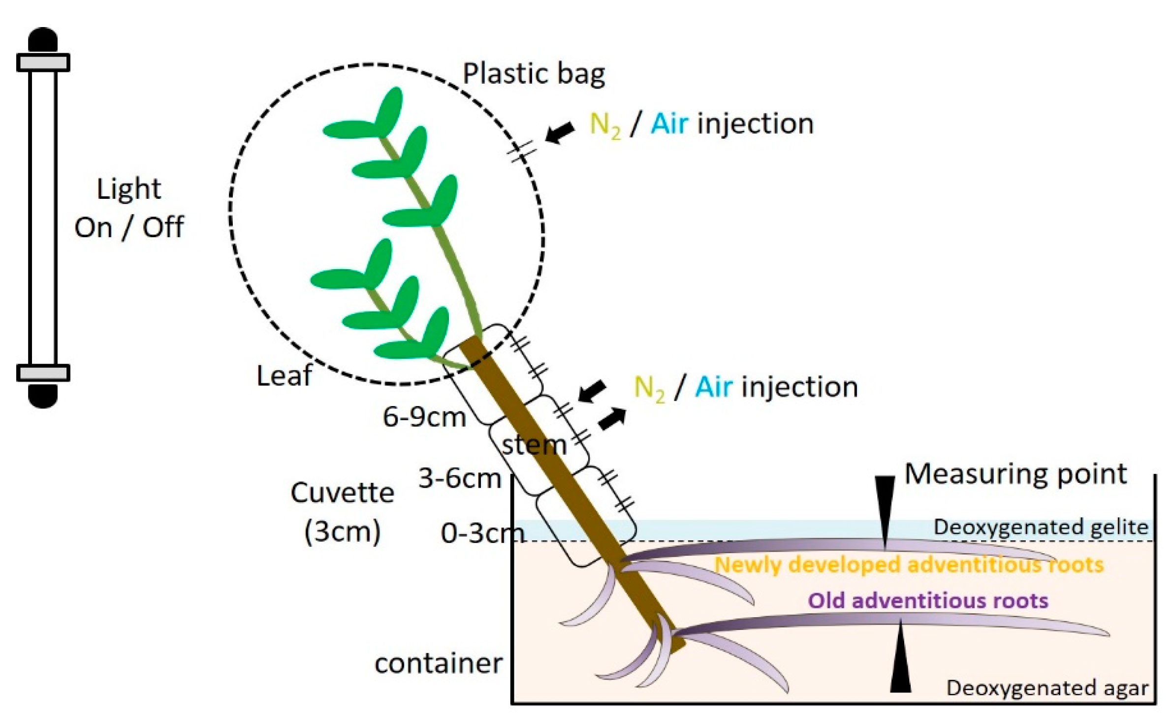 Plants 09 01433 g001