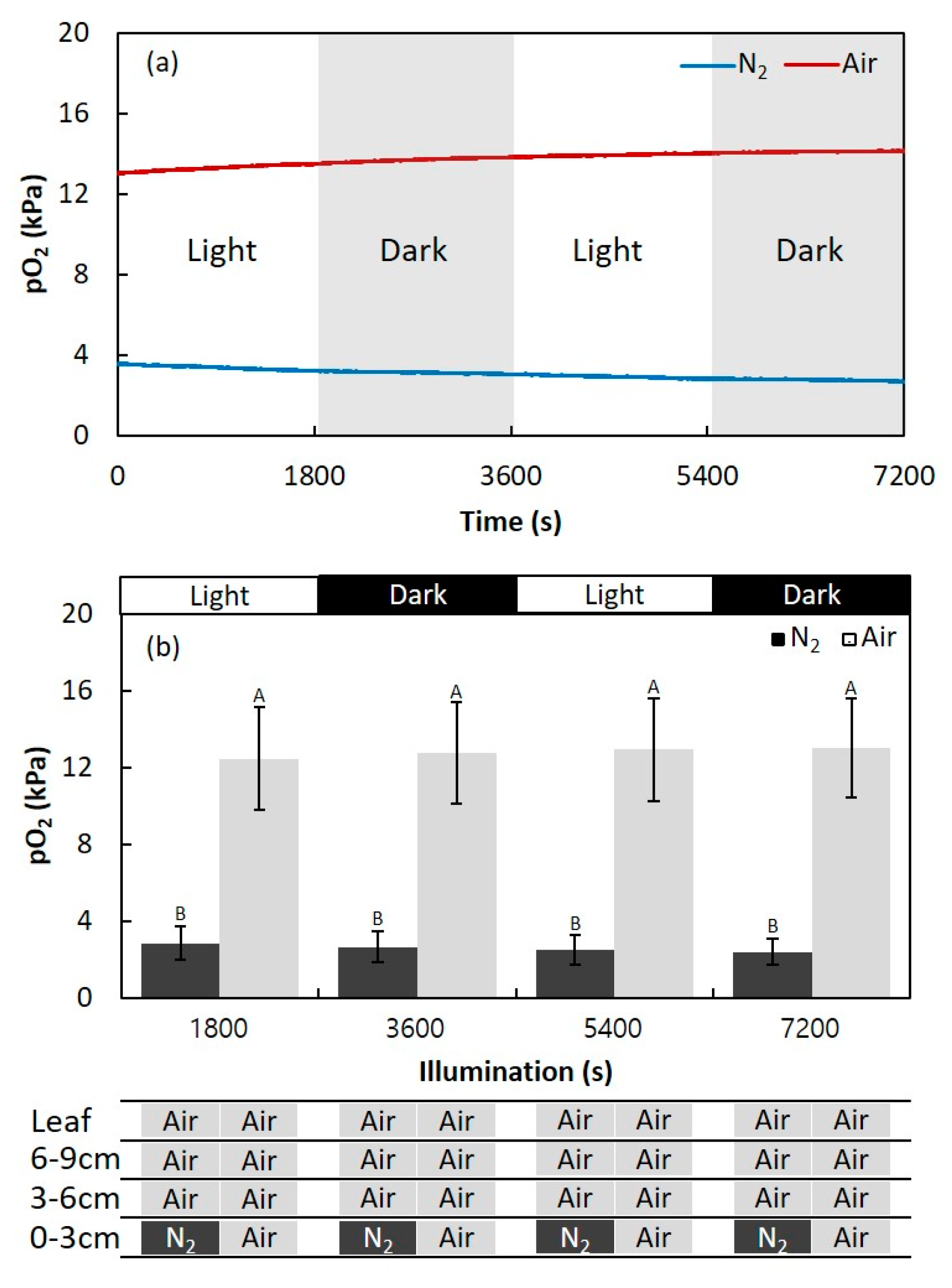 Plants 09 01433 g003