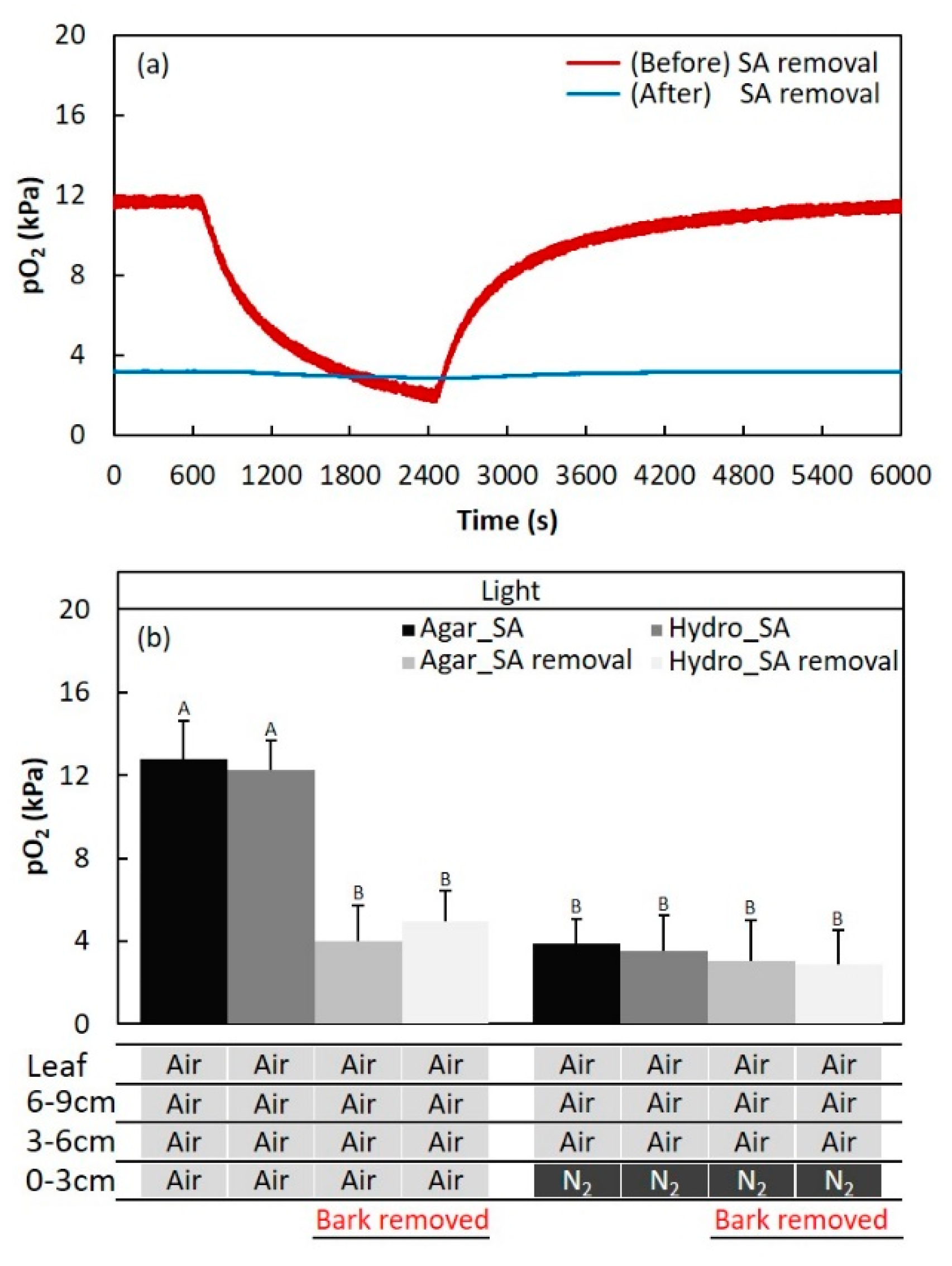 Plants 09 01433 g005