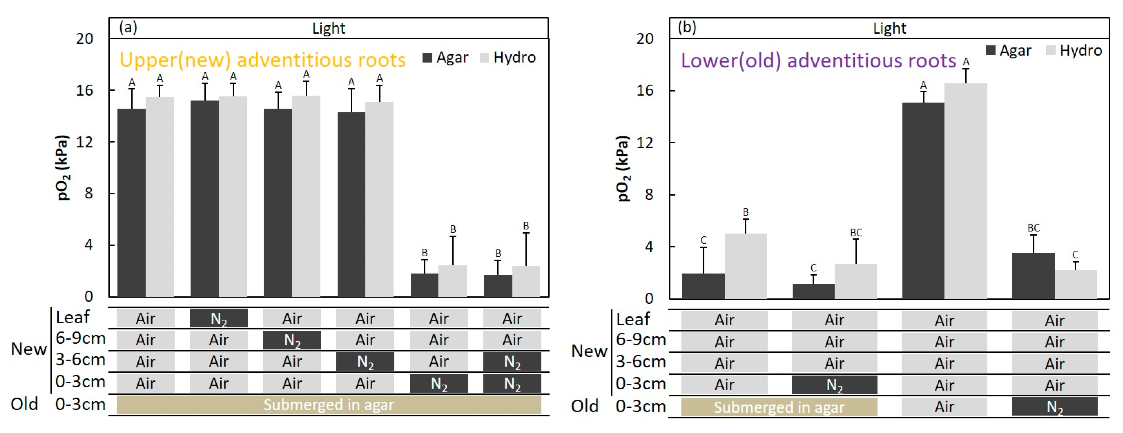 Plants 09 01433 g010