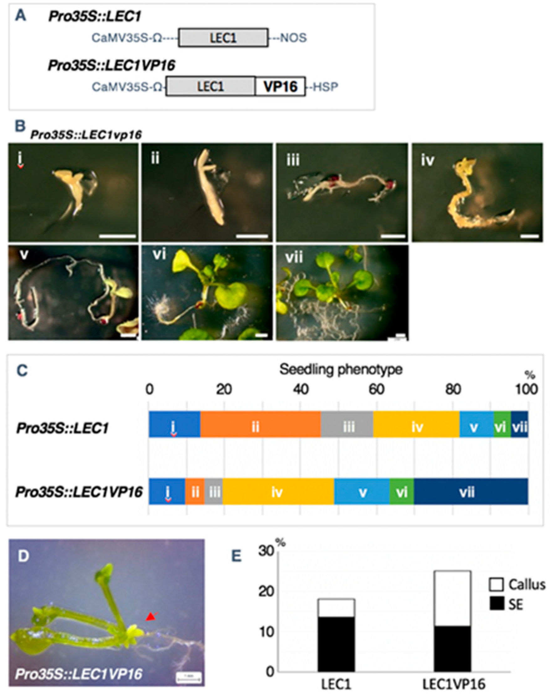 Plants 09 01434 g004