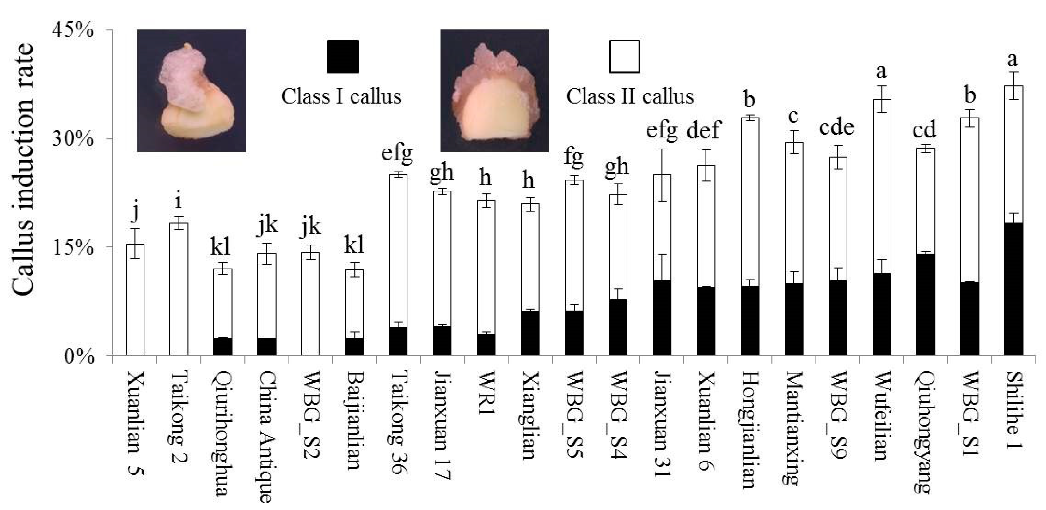 Plants 09 01436 g002